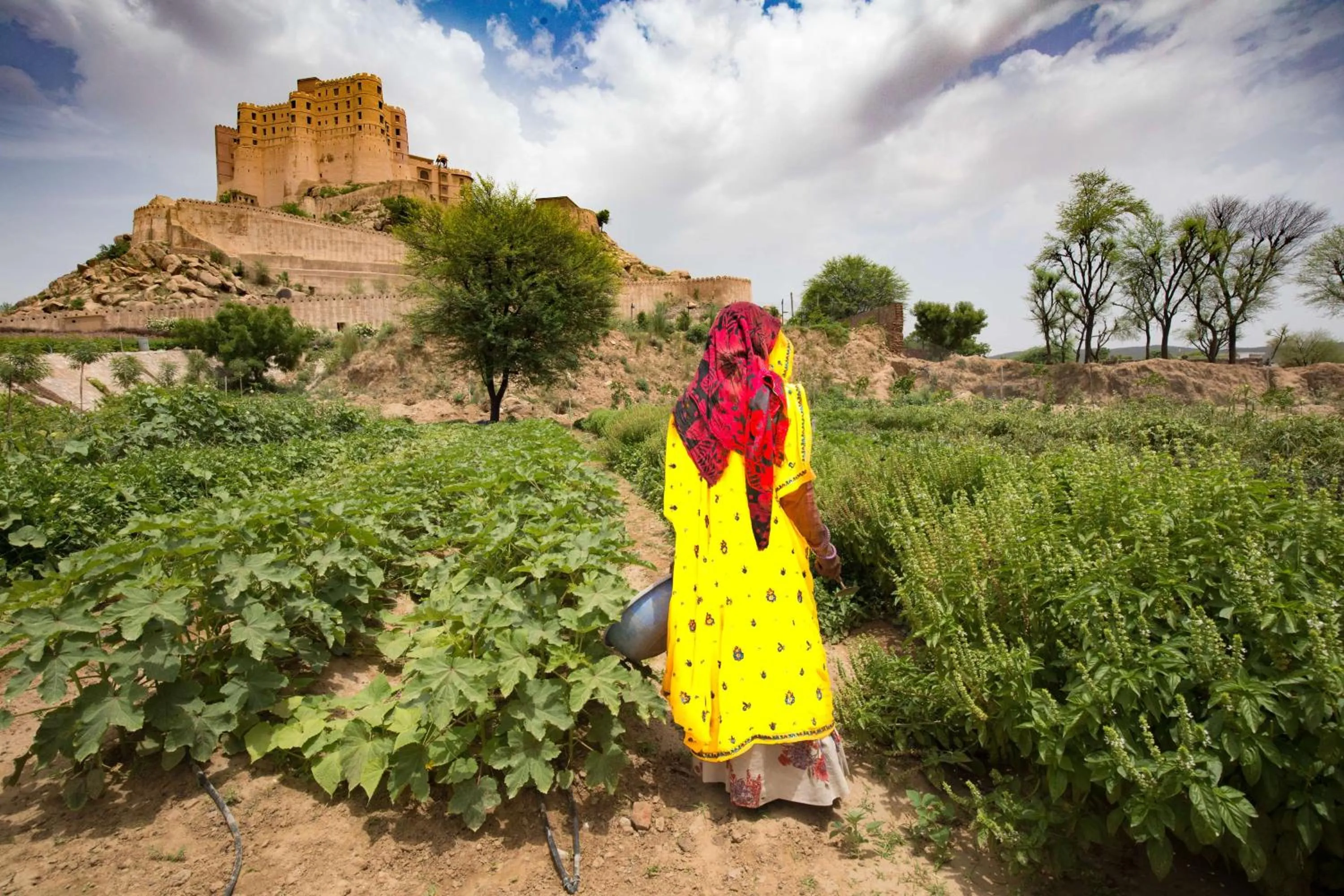 Off site in Alila Fort Bishangarh Jaipur - A Hyatt Brand