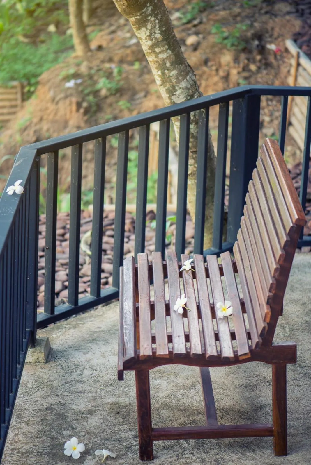 Balcony/Terrace in Thongphaphum River