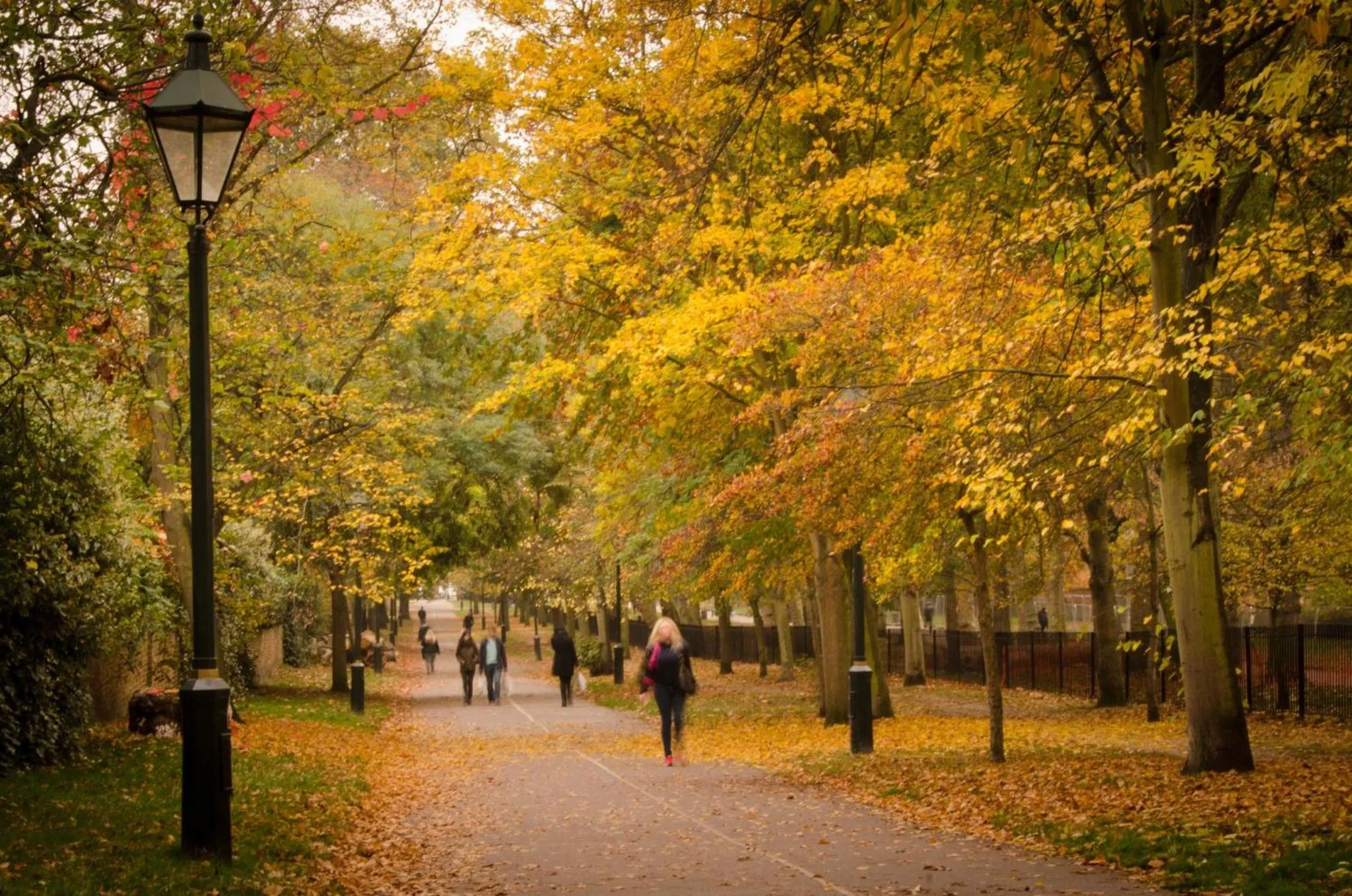 Nearby landmark in Holiday Inn Express London Croydon by IHG