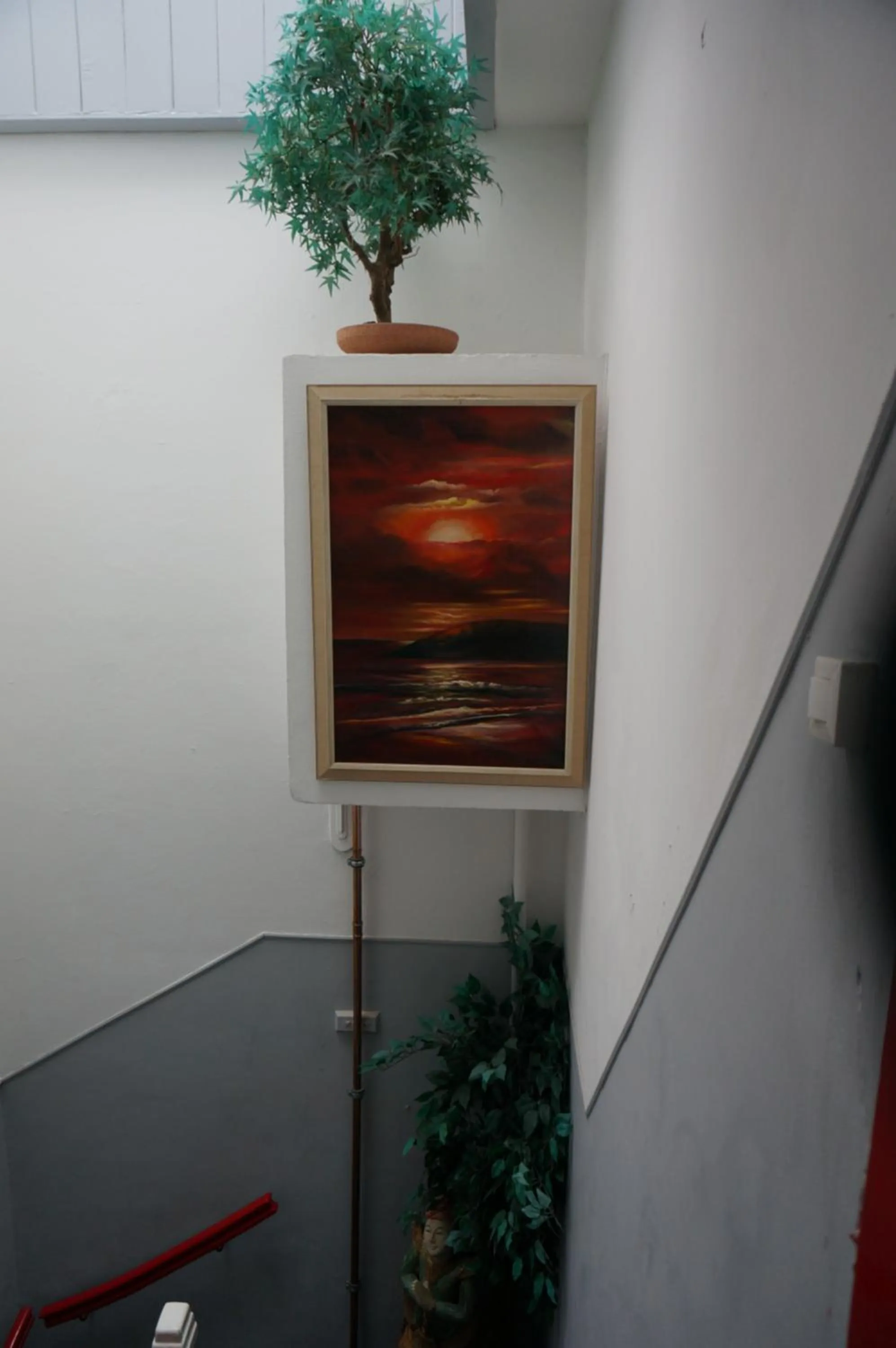 Area and facilities in Amsterdam Roof Terrace B&B