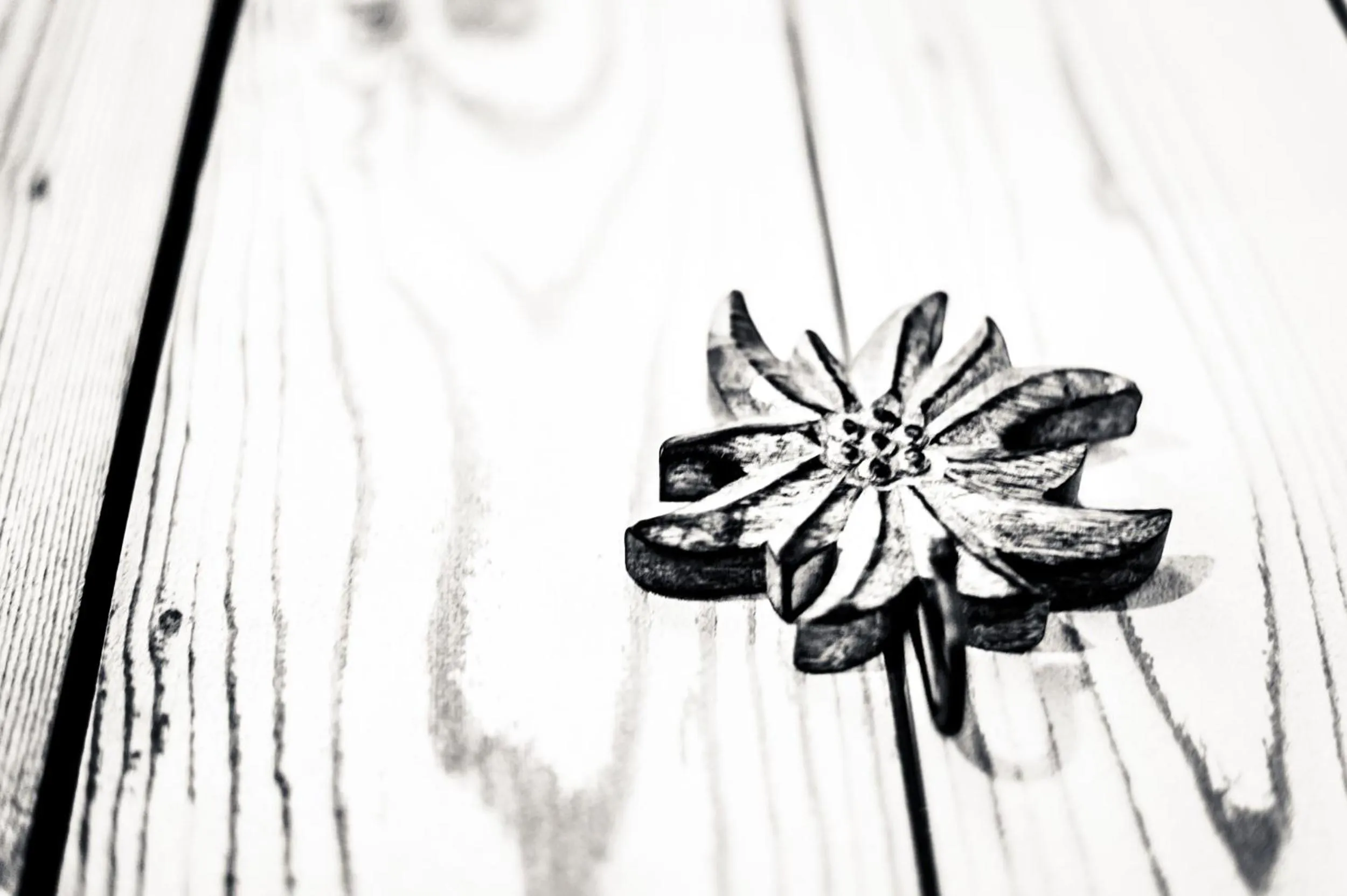 Decorative detail in Dimora Al Bivacco