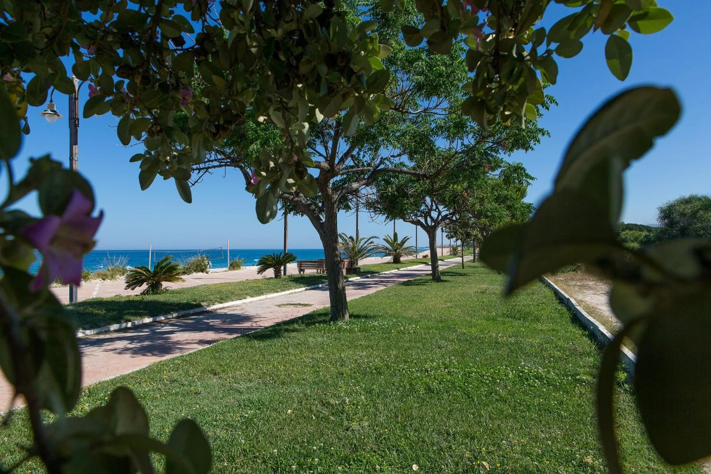 Beach in Hotel Villa Susy