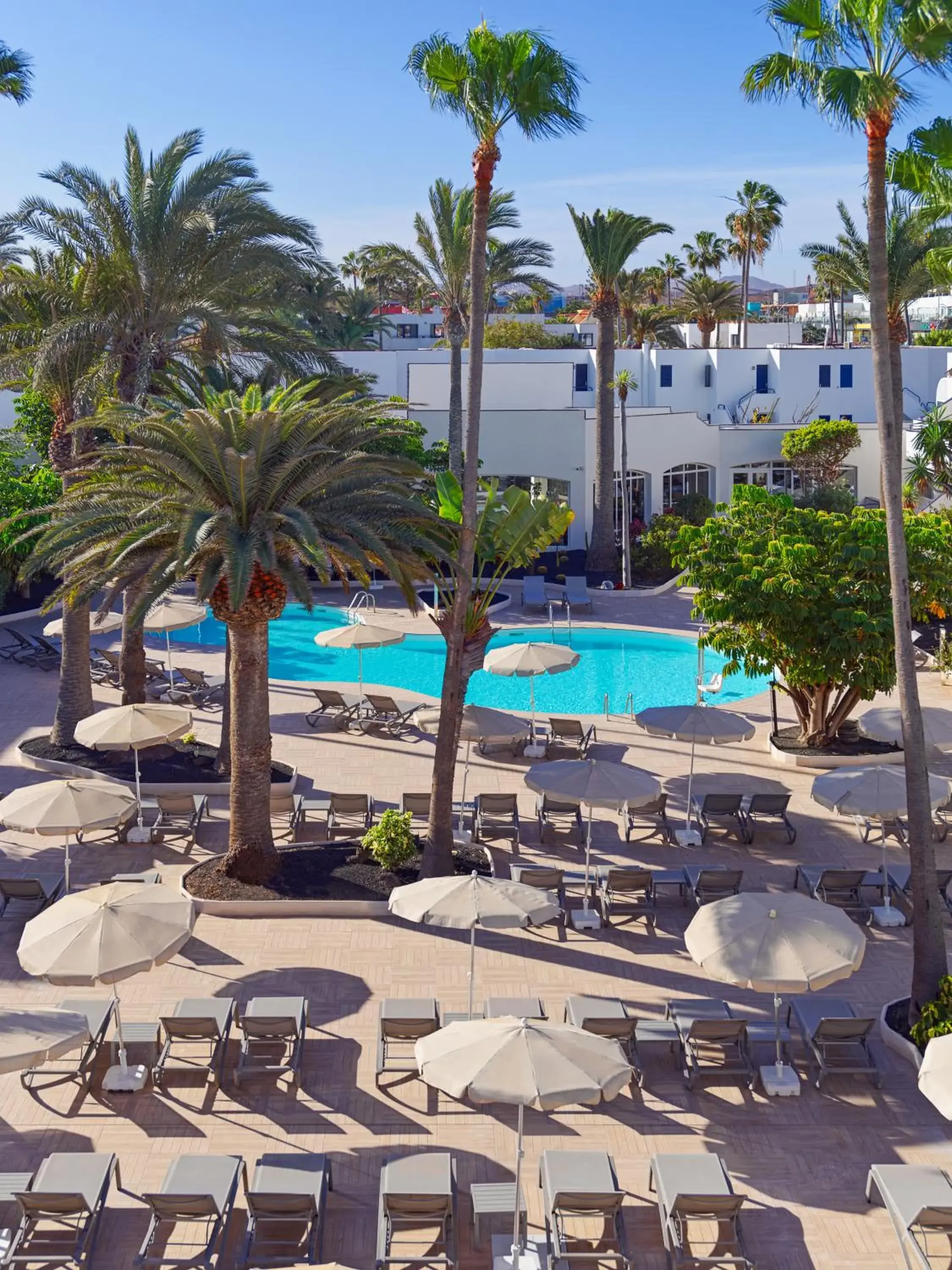 Swimming pool in H10 Ocean Dunas - Adults Only Swimming pool in H10 Ocean Dunas - Adults Only