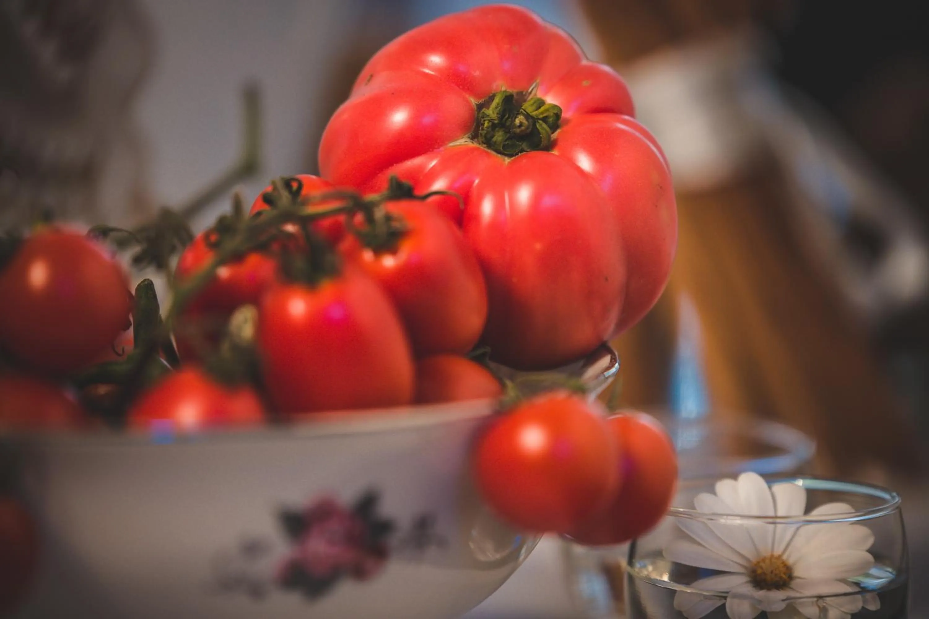 Food and drinks in Maison Fernanda