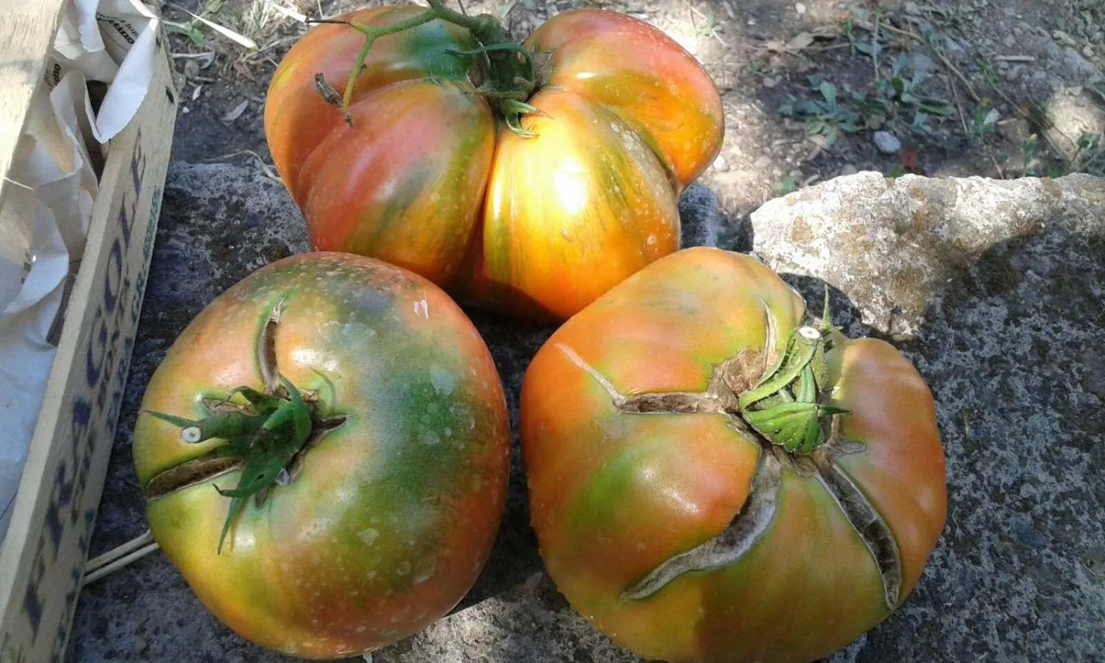 Food close-up in Maison Fernanda