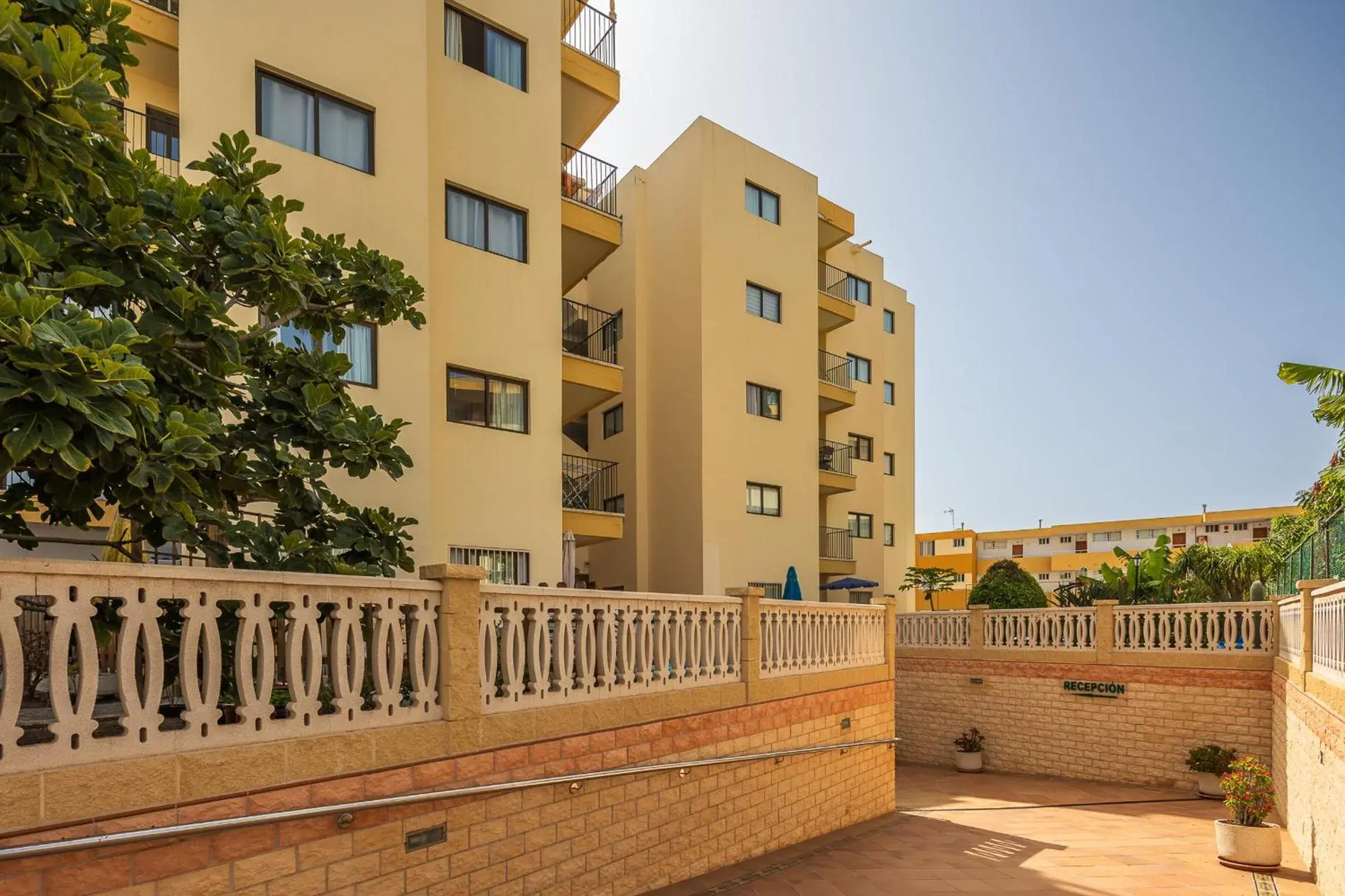 Property building in Los Ficus, Maspalomas Property building in Los Ficus, Maspalomas