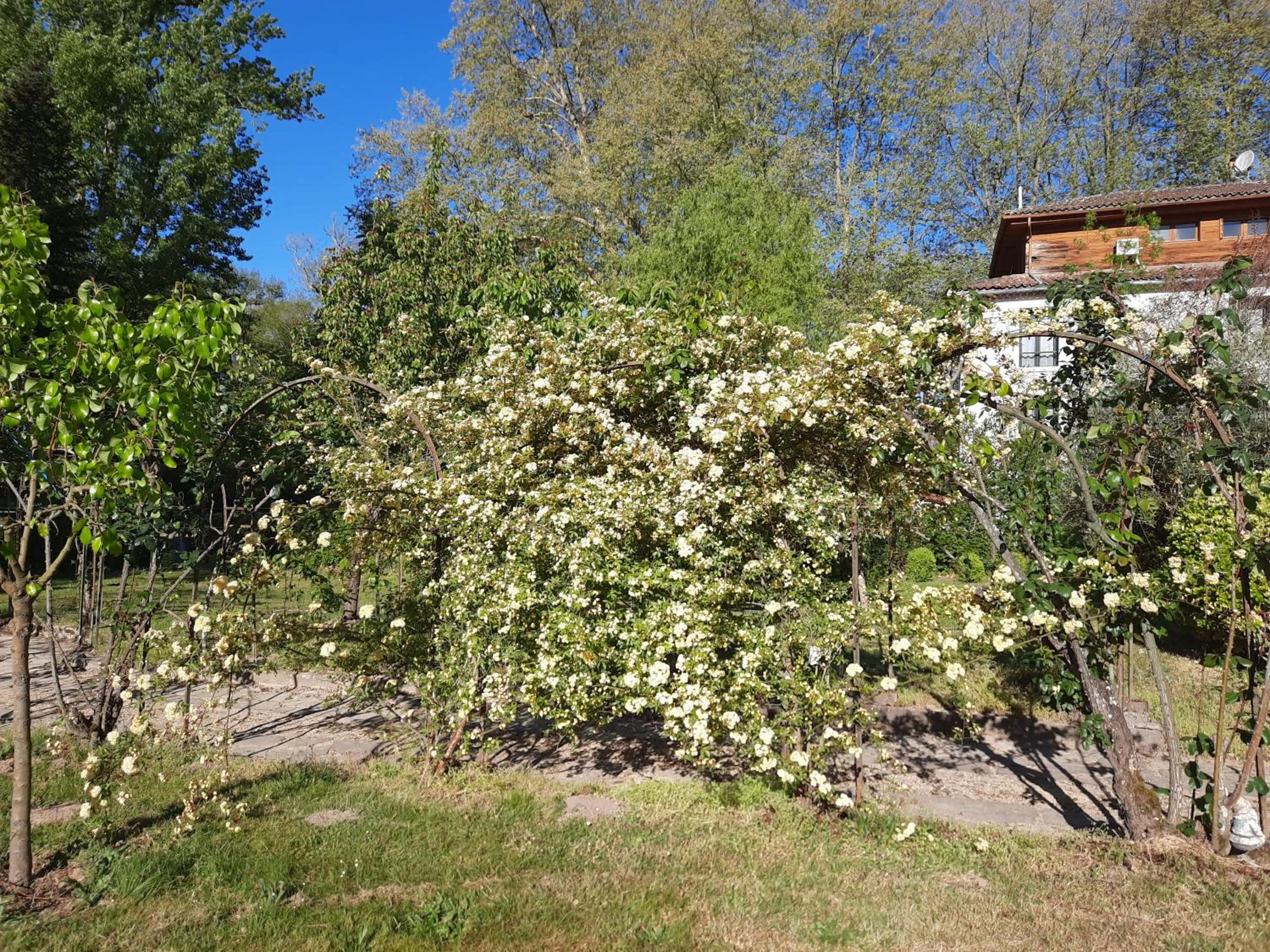 Garden in Hostellerie de La Roseraie