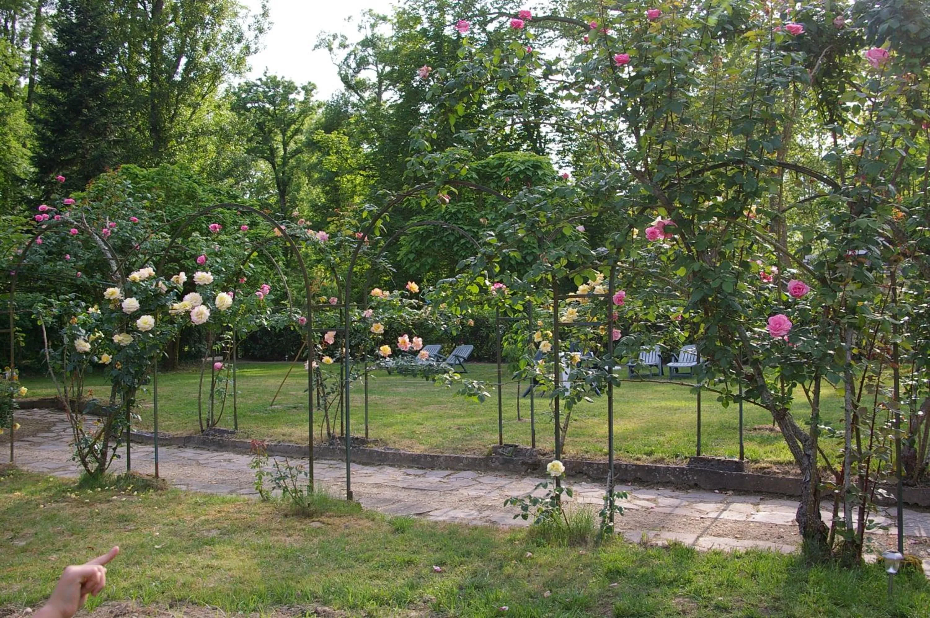 Garden view in Hostellerie de La Roseraie