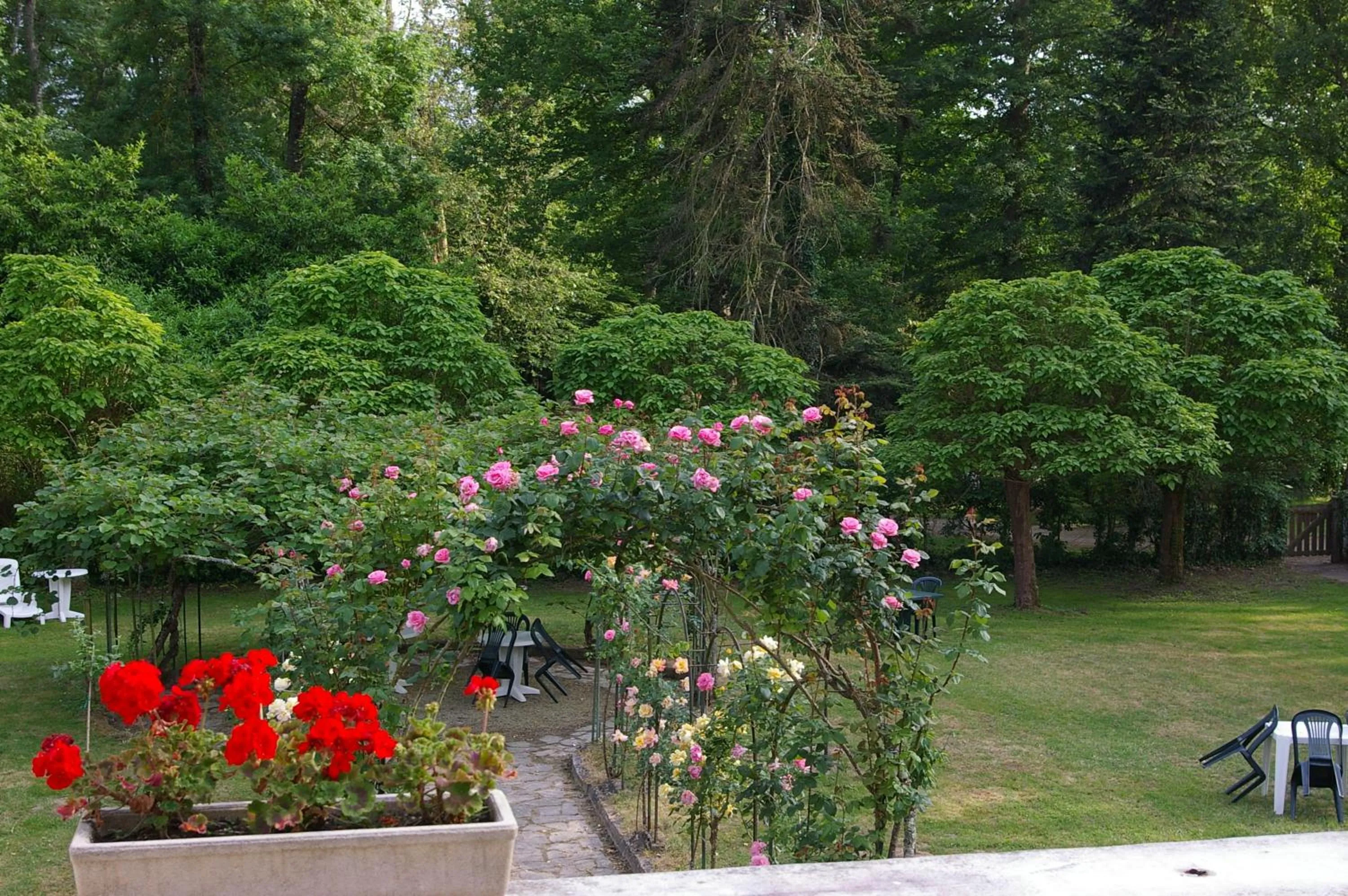 Garden view in Hostellerie de La Roseraie