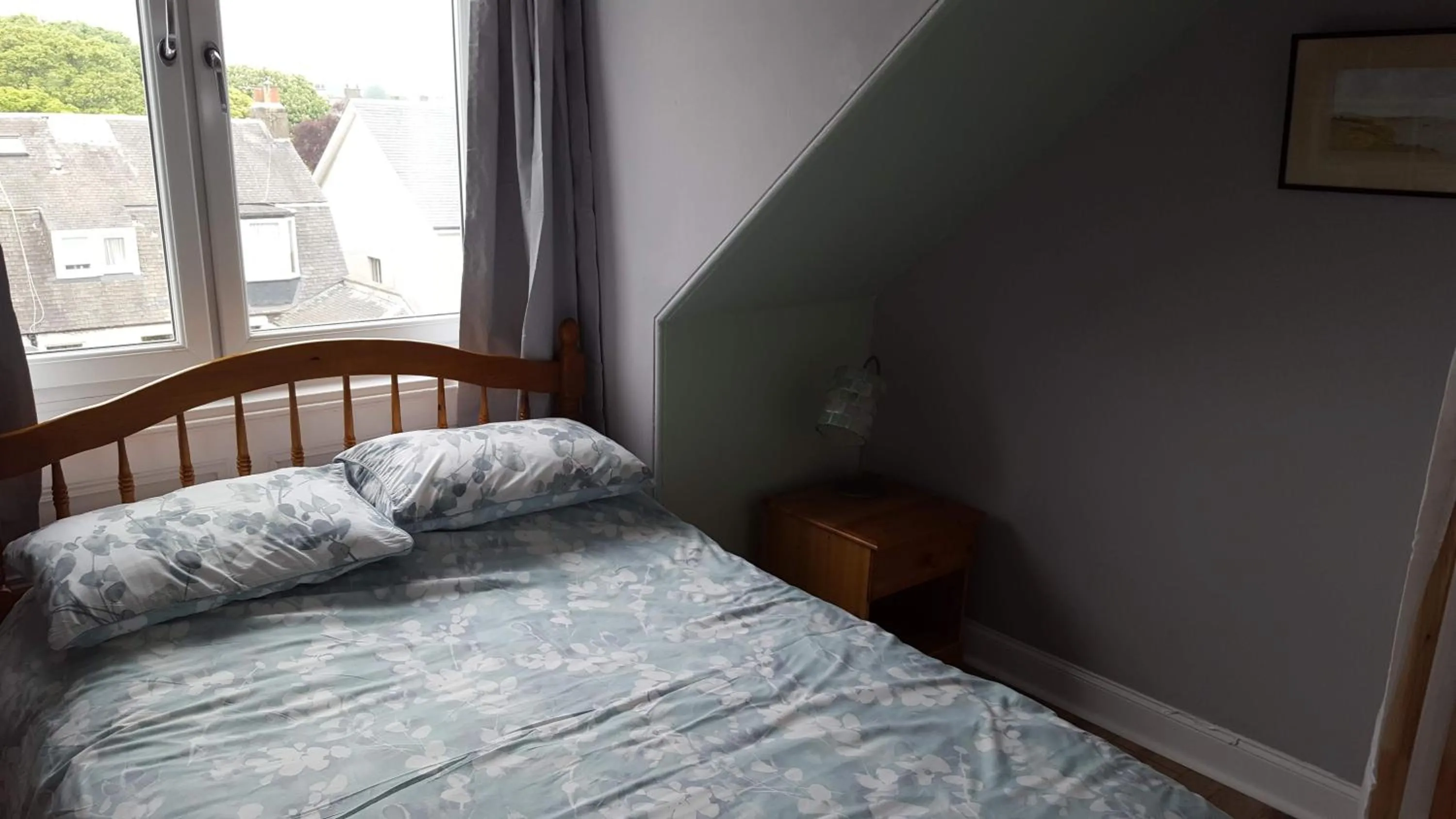 Double Room with Shower in Forth Bay Guest House