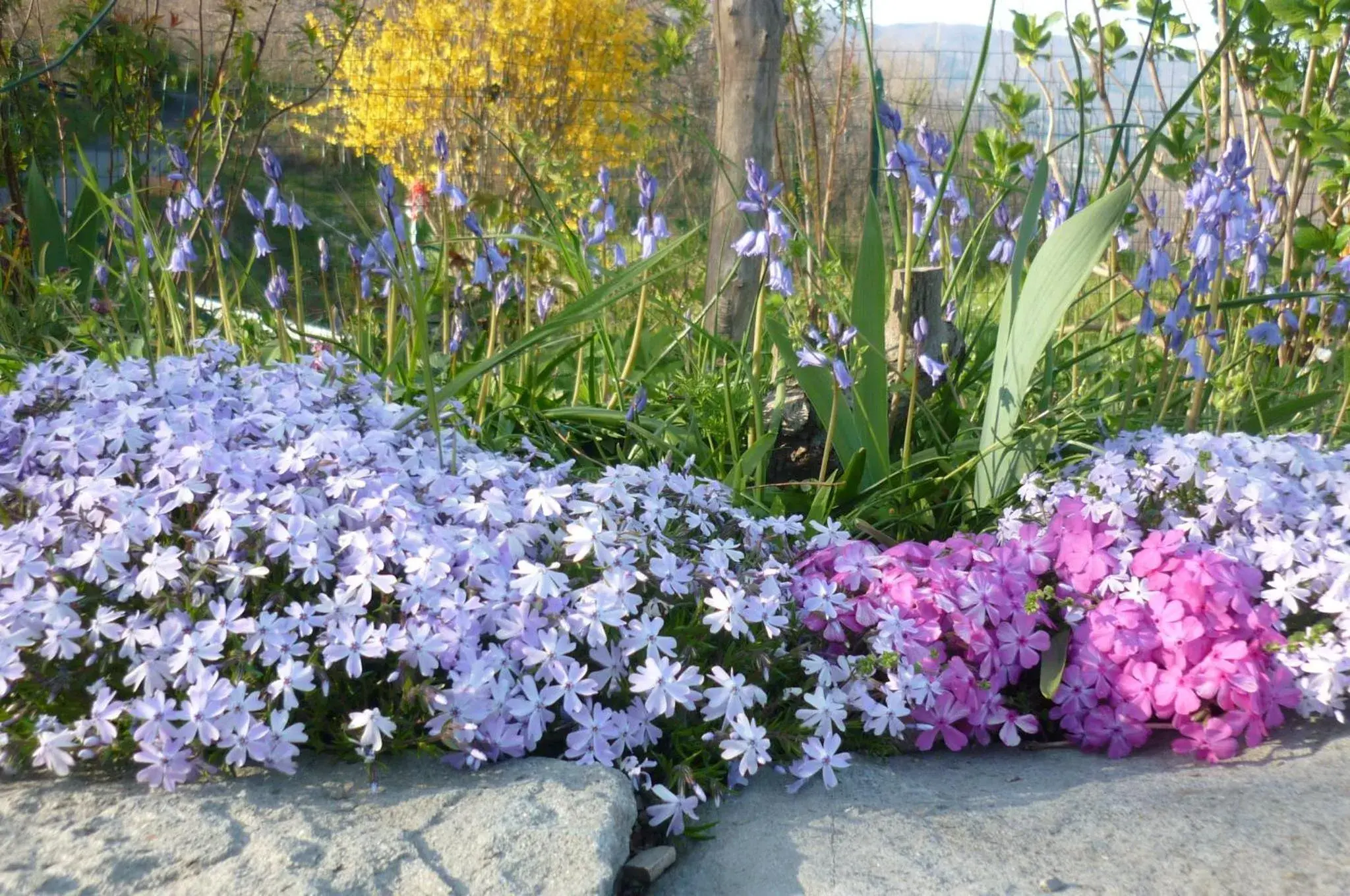 Double Room with Terrace - single occupancy in Il Poggio di Traverde Double Room with Terrace - single occupancy in Il Poggio di Traverde