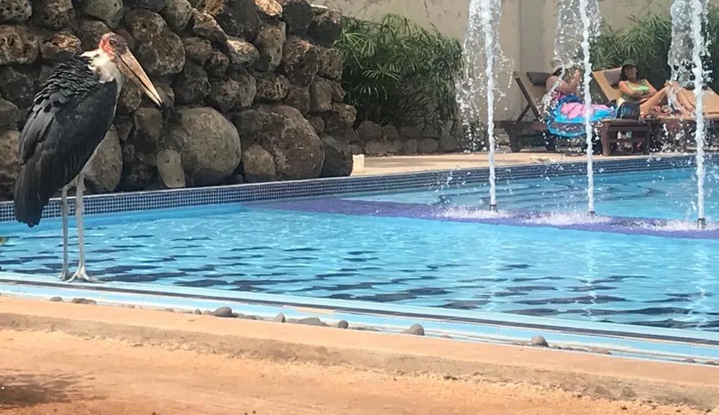 People in Ameg Lodge Kilimanjaro