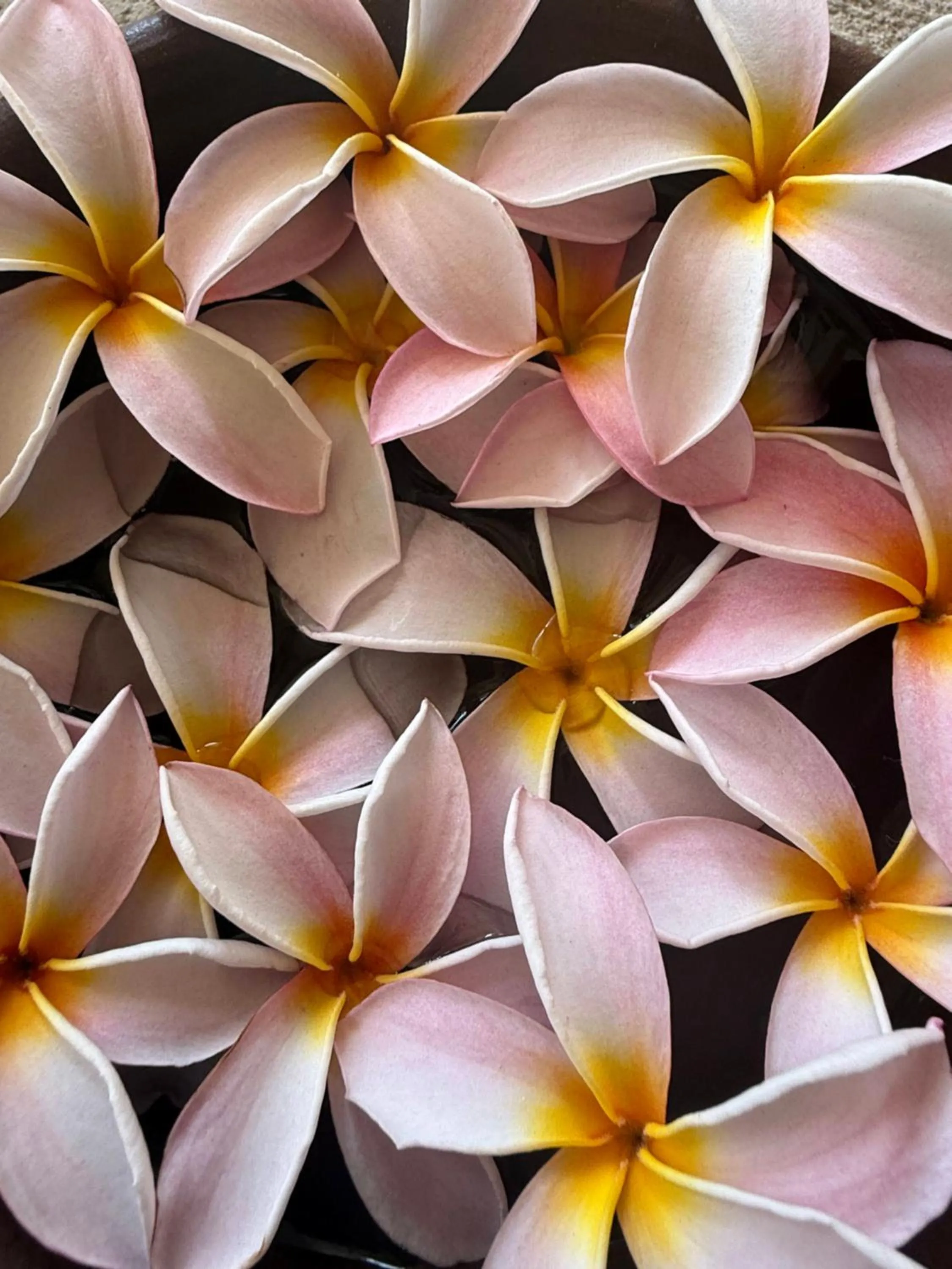 Spa and wellness centre/facilities in Ameg Lodge Kilimanjaro