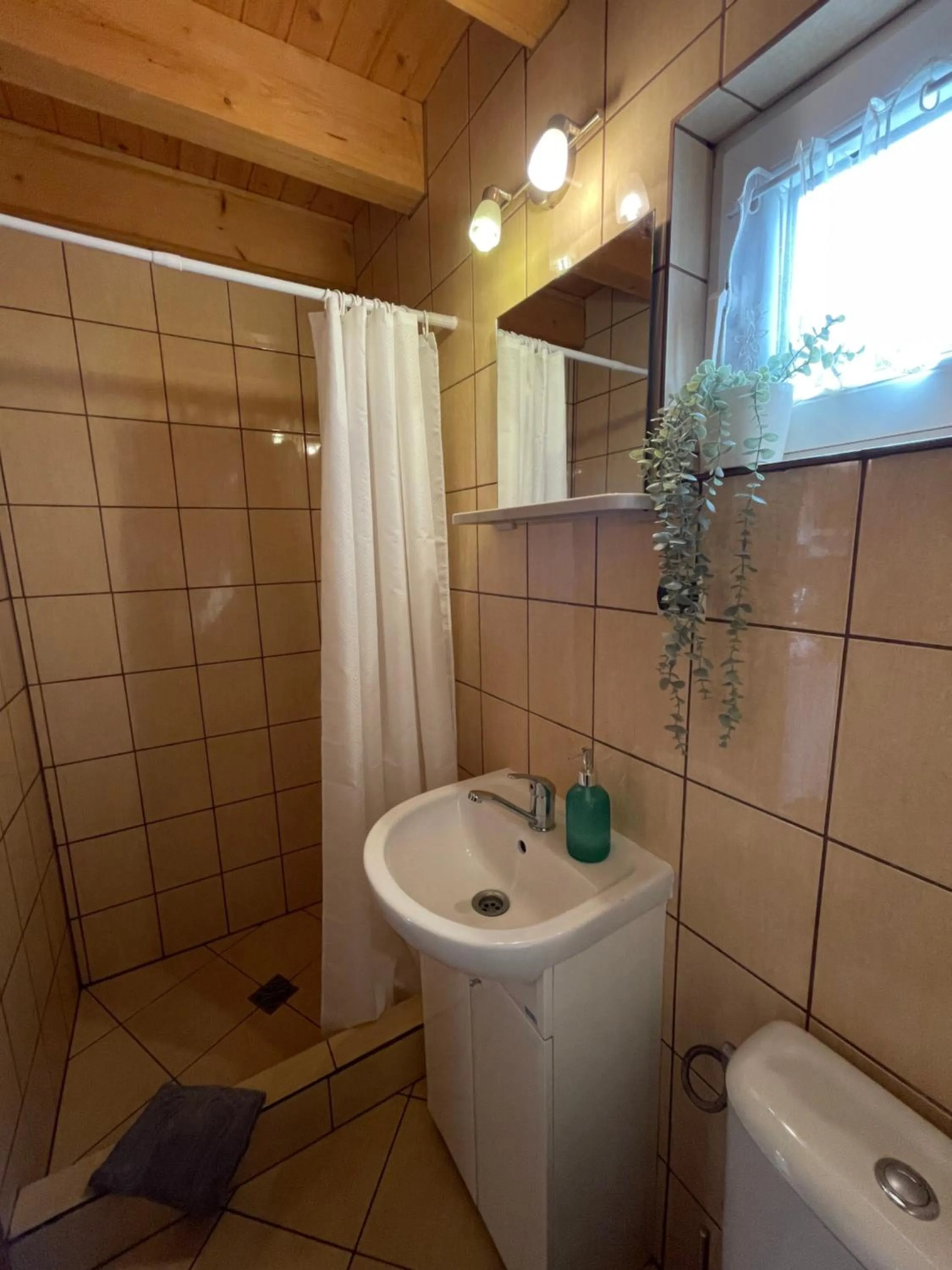 Shower in Domek Danusia z dwiema sypialniami