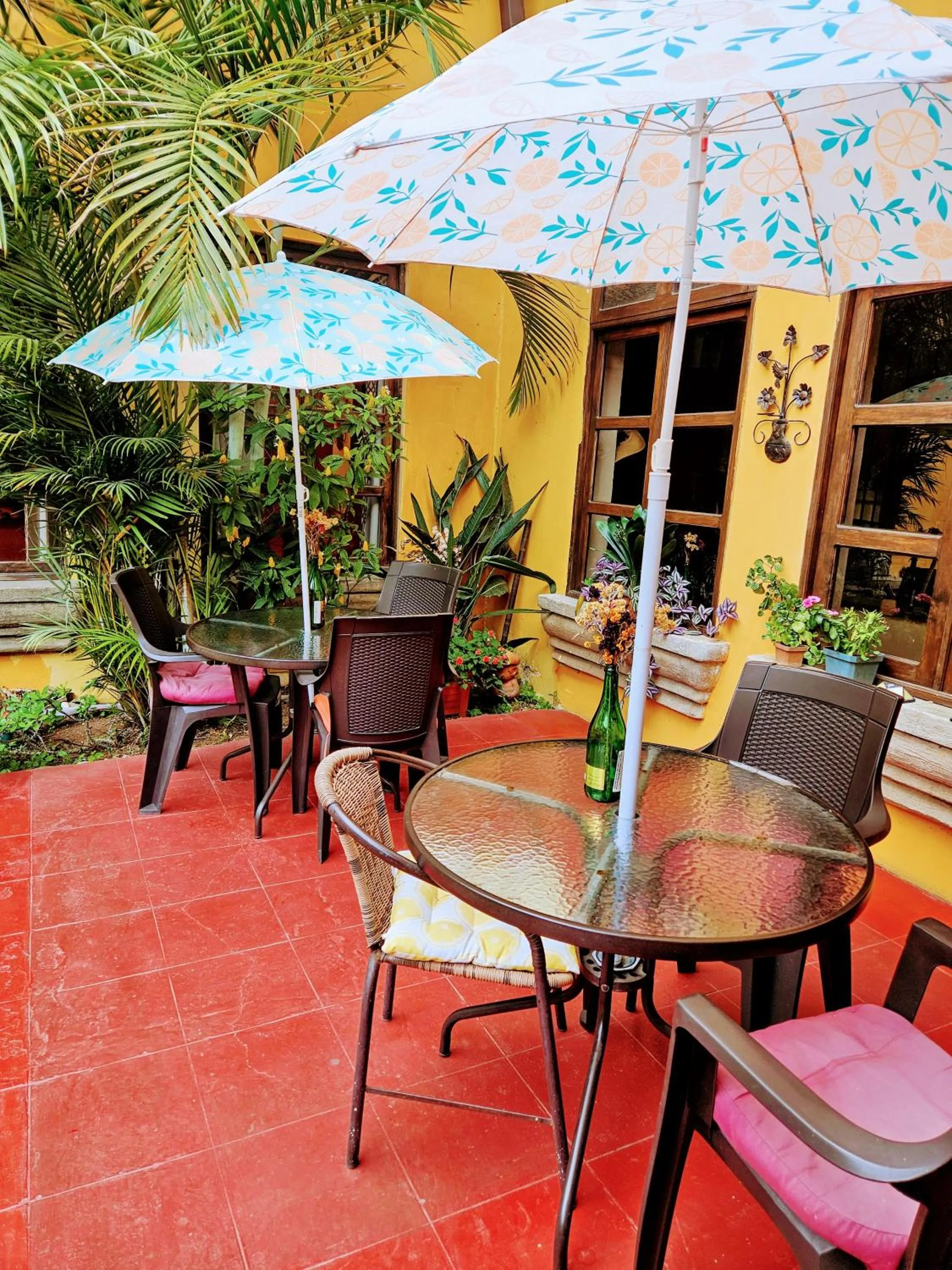 Garden in Hotel Casa del Cerro