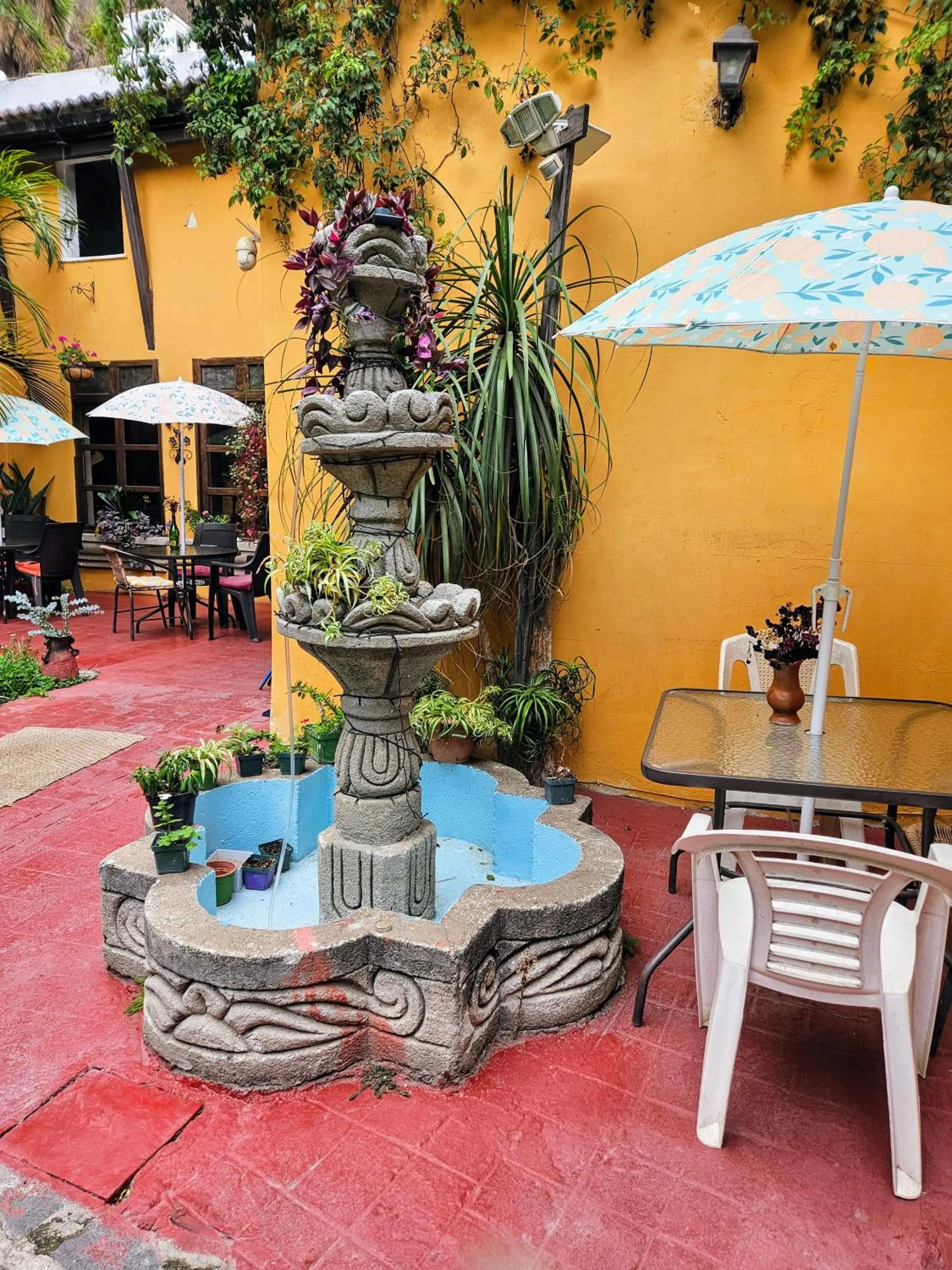 Garden in Hotel Casa del Cerro