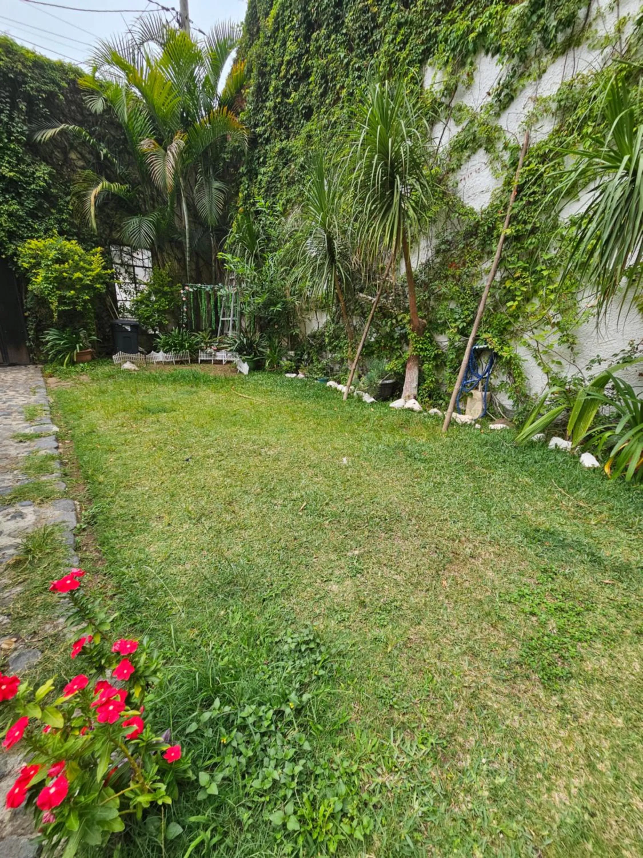 Garden in Hotel Casa del Cerro