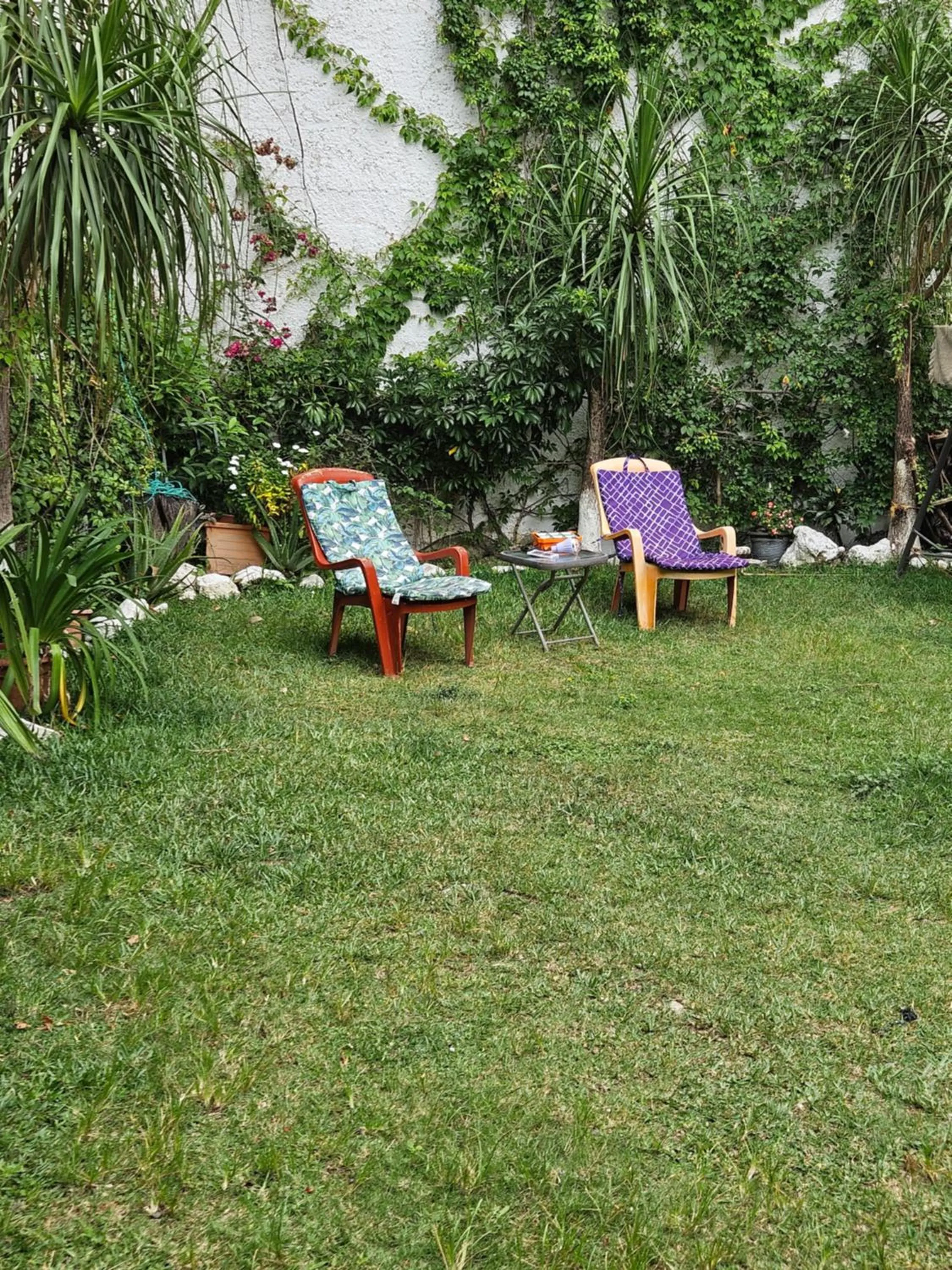Garden in Hotel Casa del Cerro