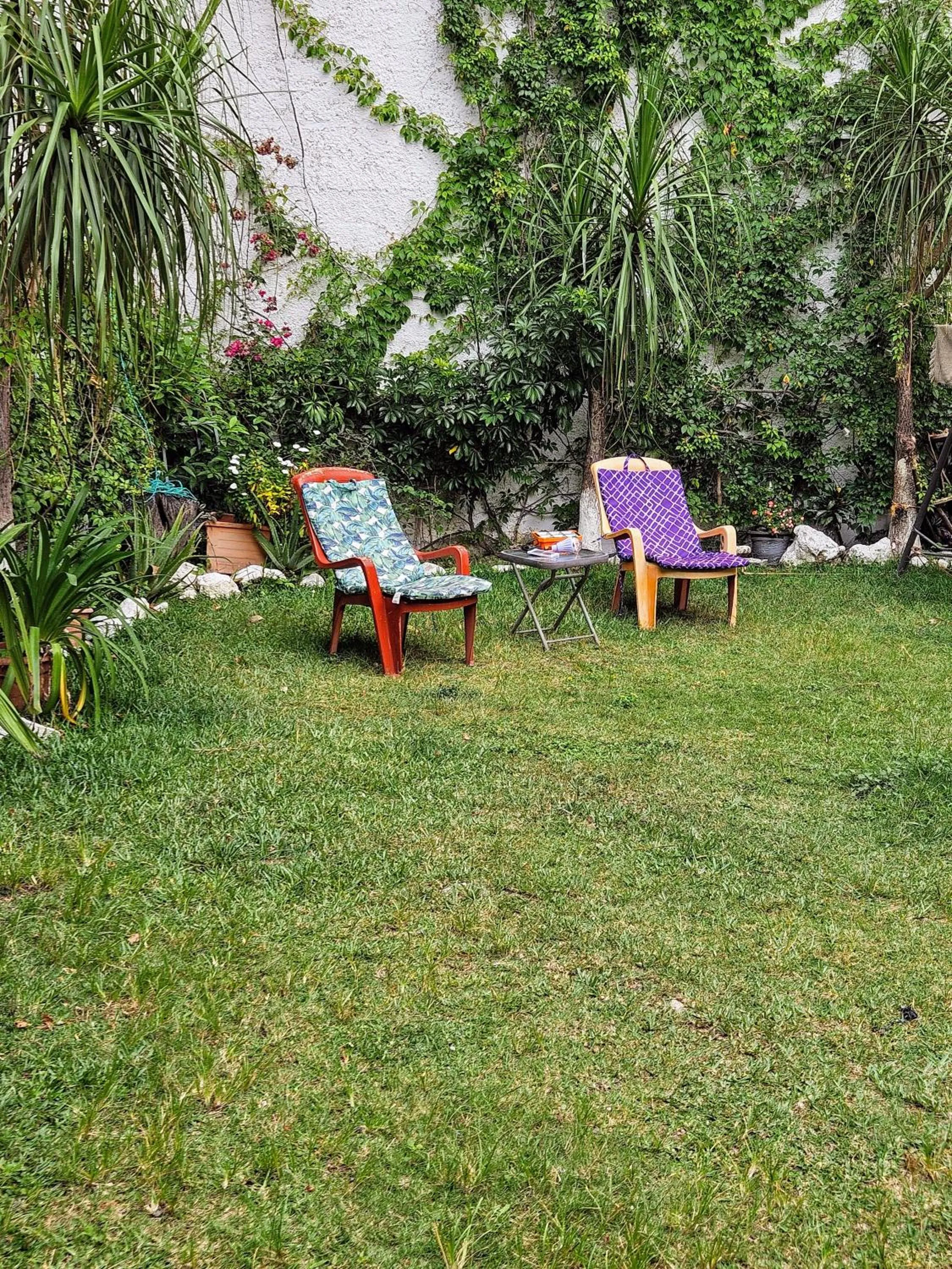 Garden in Hotel Casa del Cerro