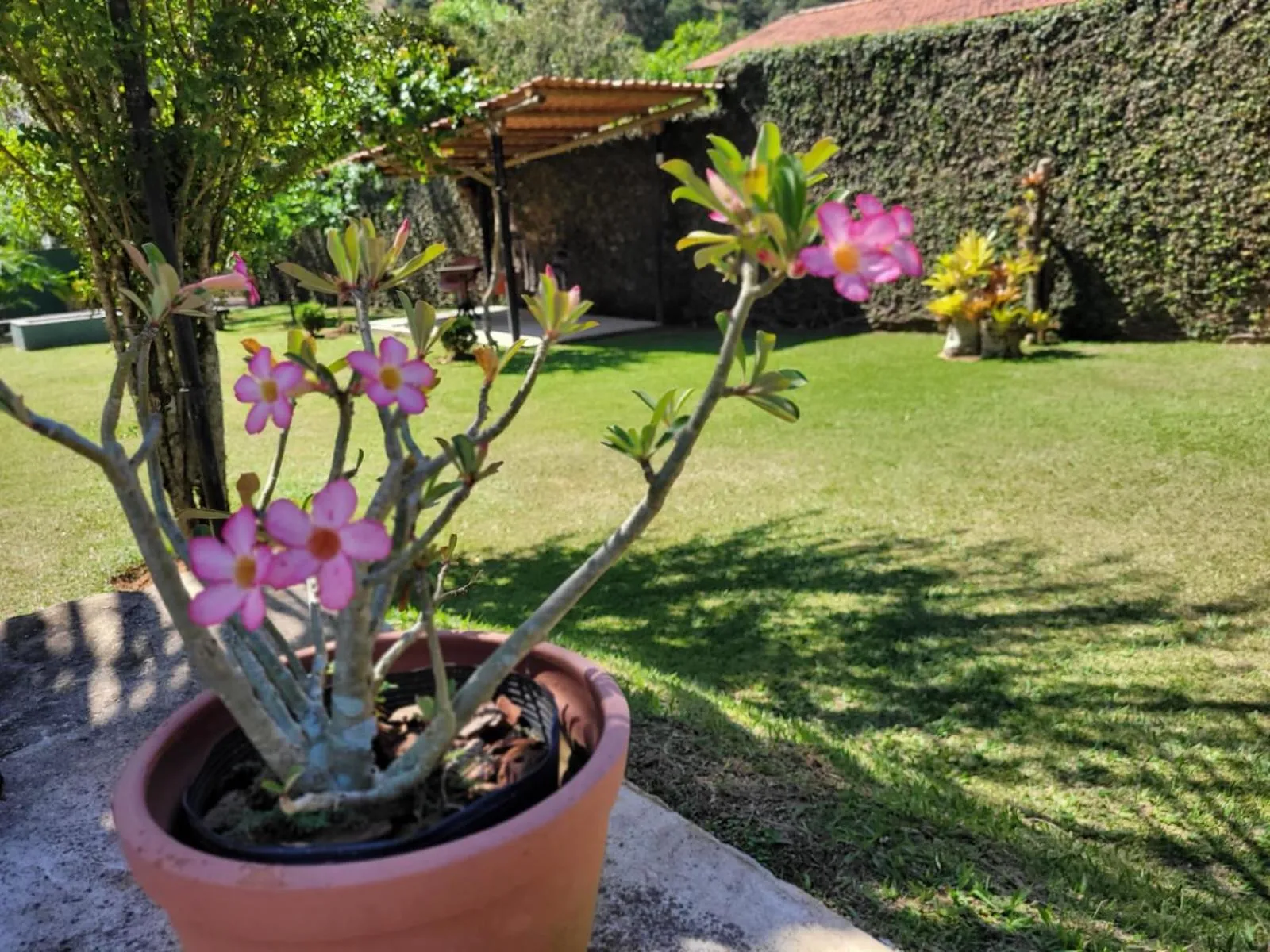 Garden view in Pousada Villa Terracotta