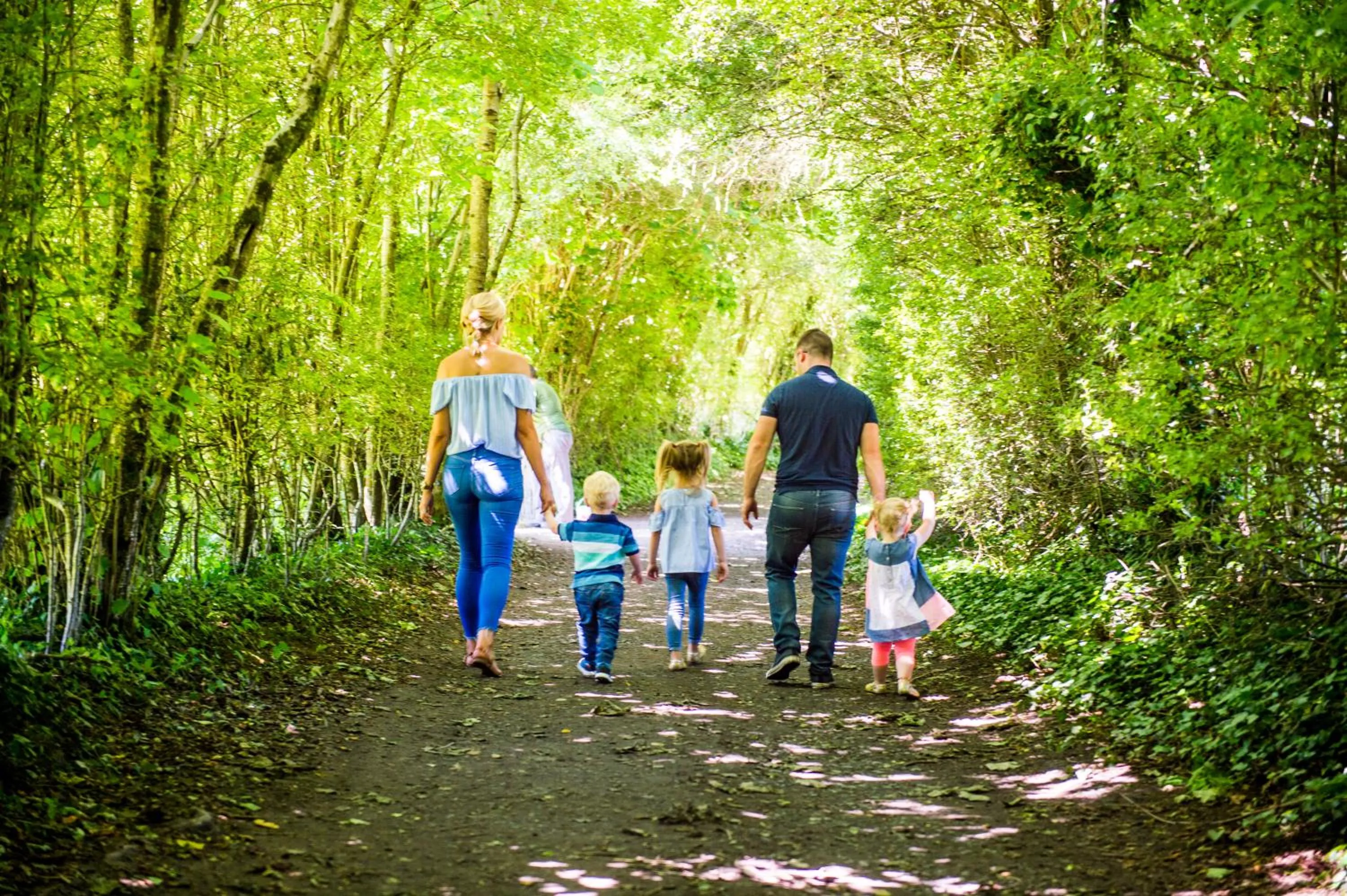 Treacys Oakwood Hotel, Shannon