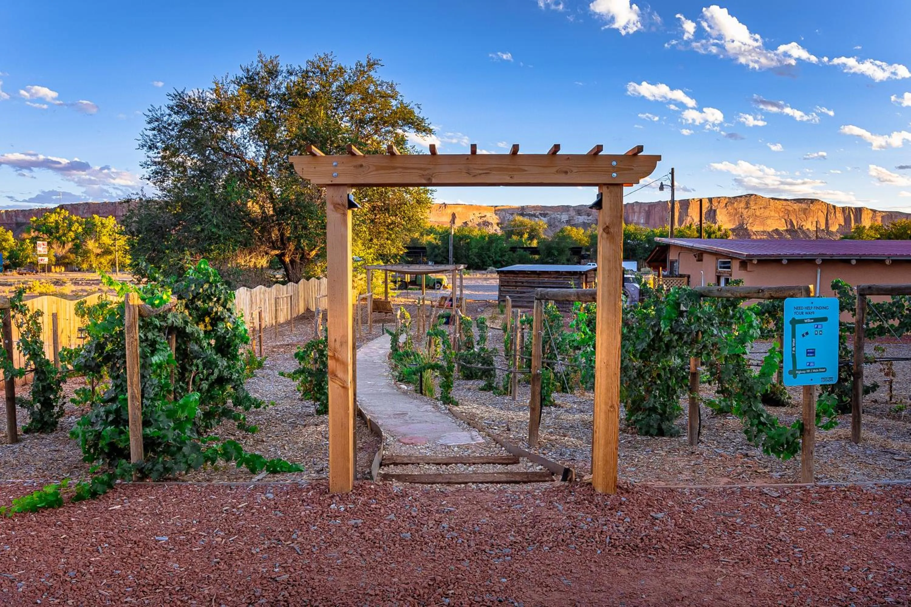 Garden view in Willow Street Cottages