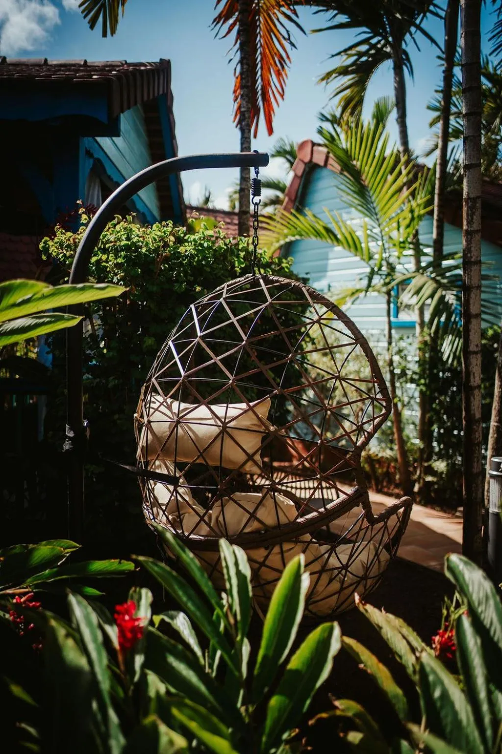 Garden in Hotel Bambou