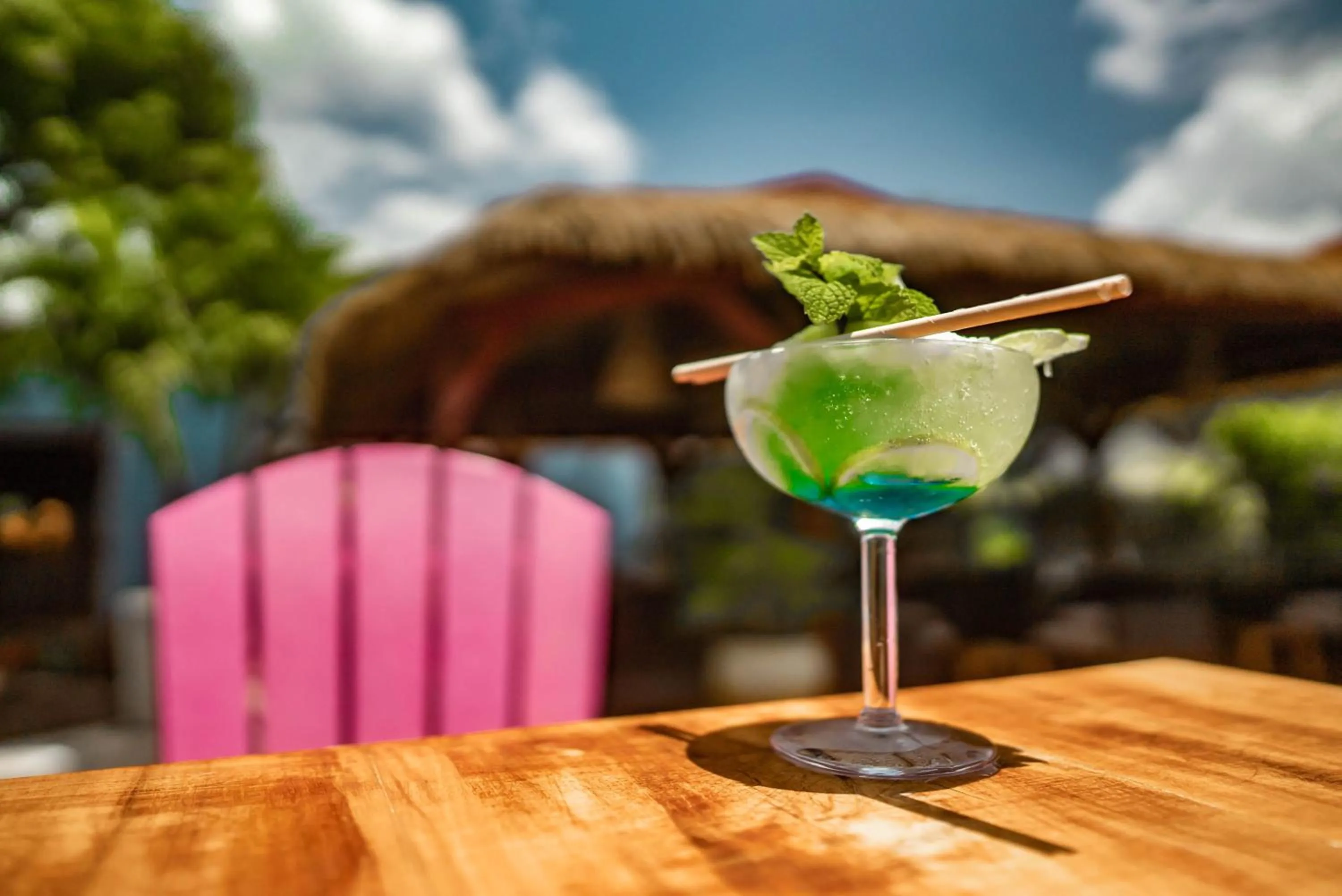 Lounge or bar in Hotel Bambou