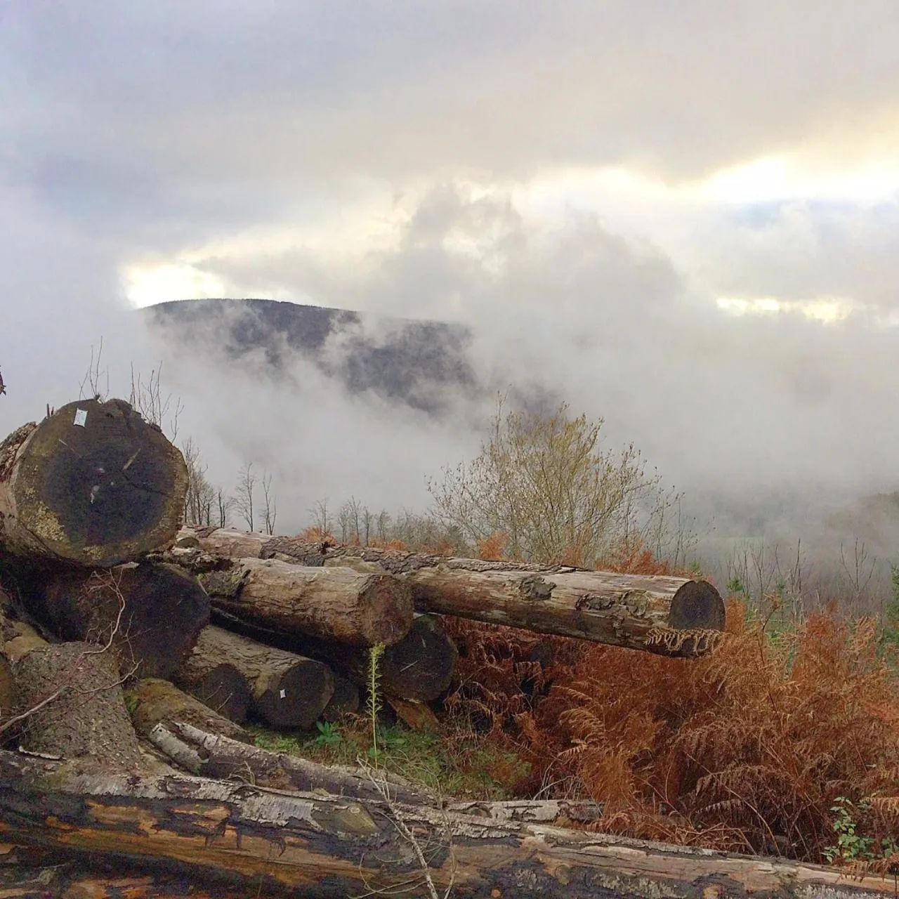 Natural landscape in La Bouriotte Chambre d'hôtes Bouton D'Or