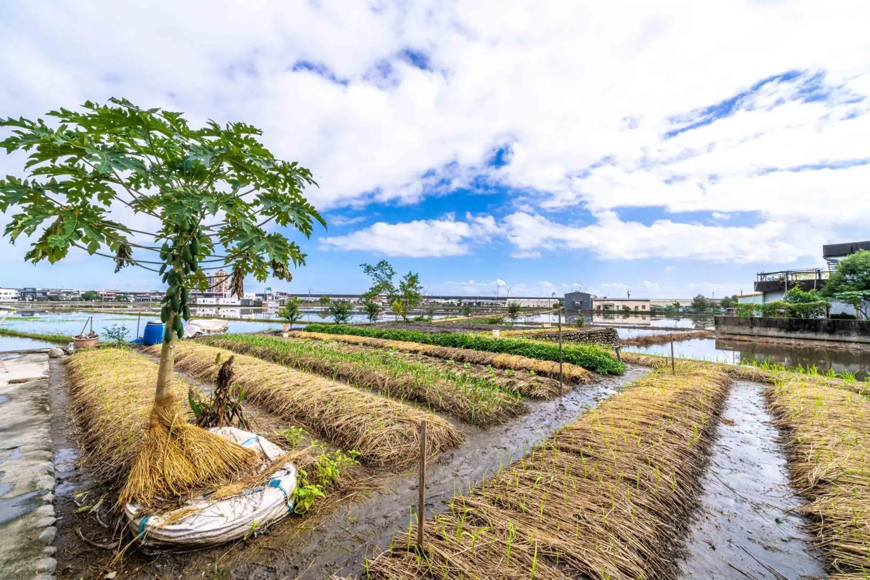 Property building in Aurora Castle Property building in Aurora Castle