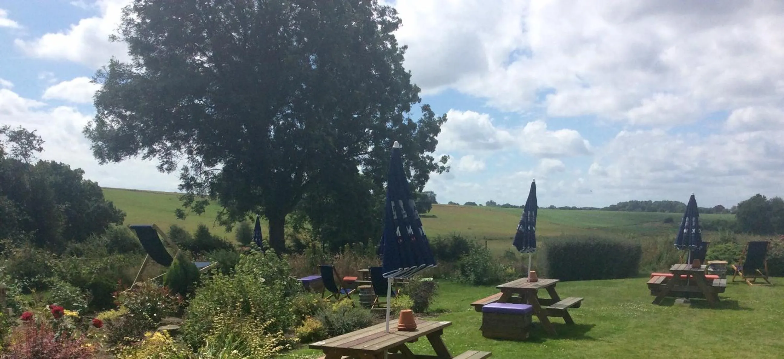 Garden in Strawberry Bank Hotel, NEC
