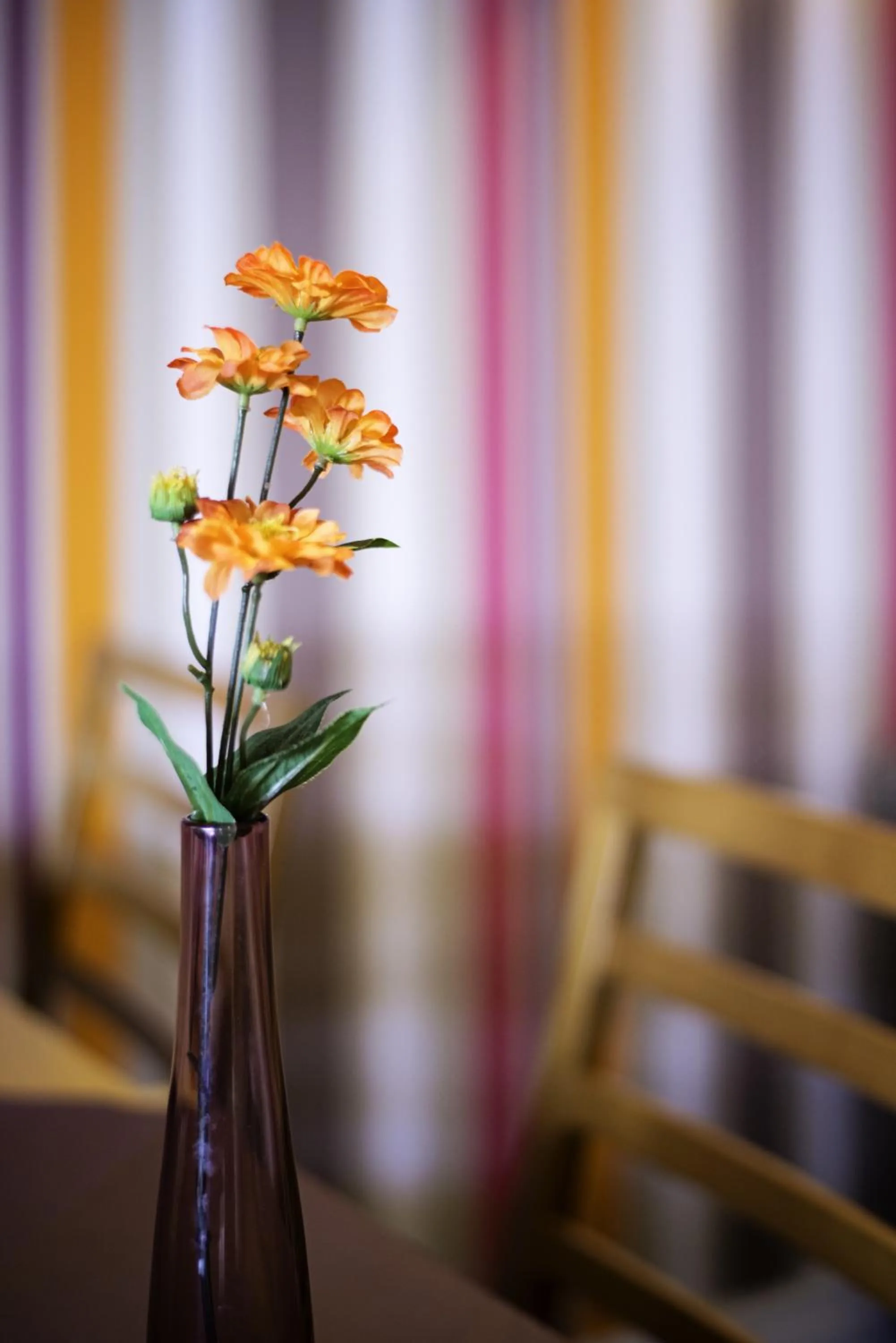 Lounge or bar in Carousel Hotel