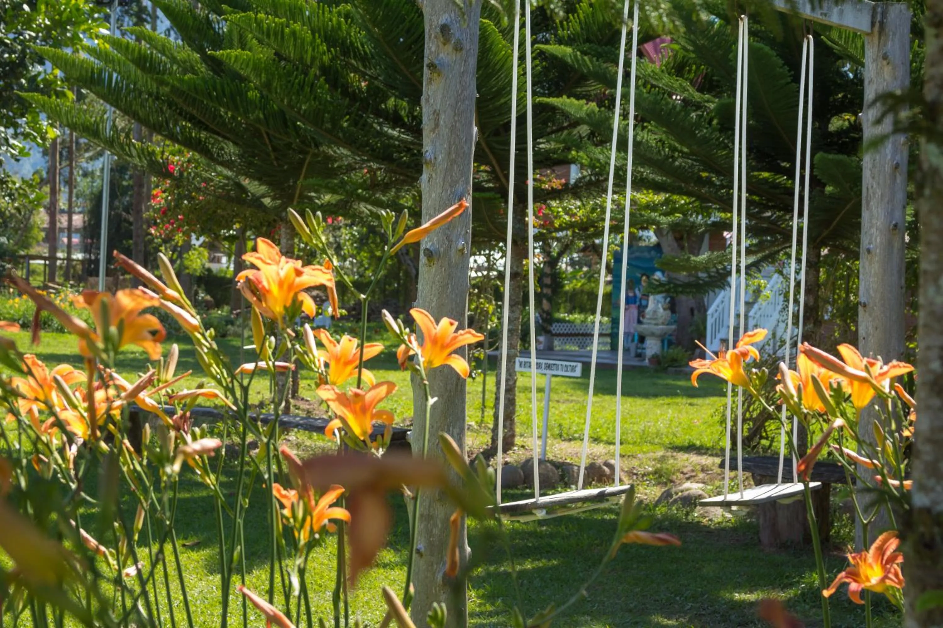 Natural landscape in Cemayu Lodge