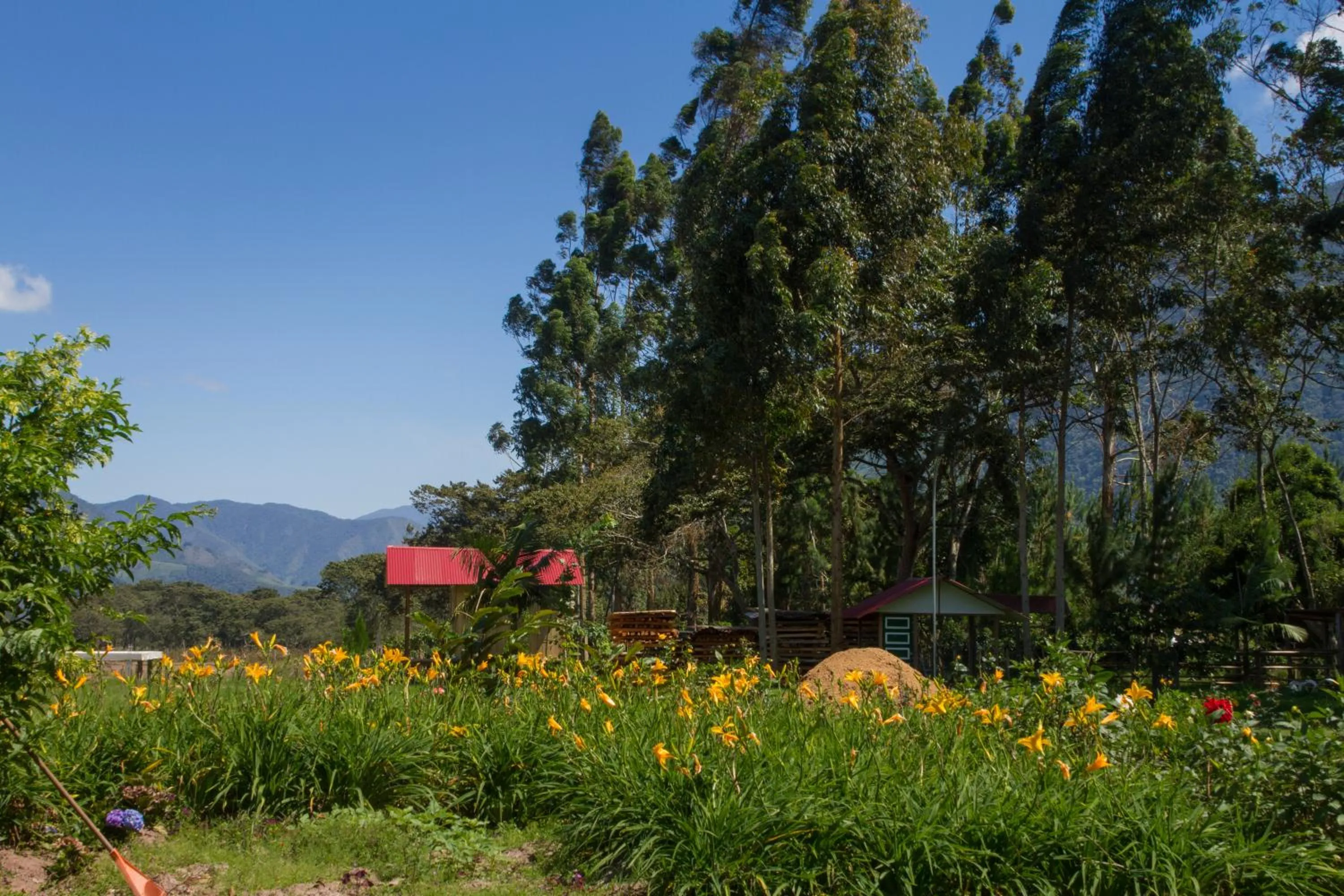 Garden in Cemayu Lodge