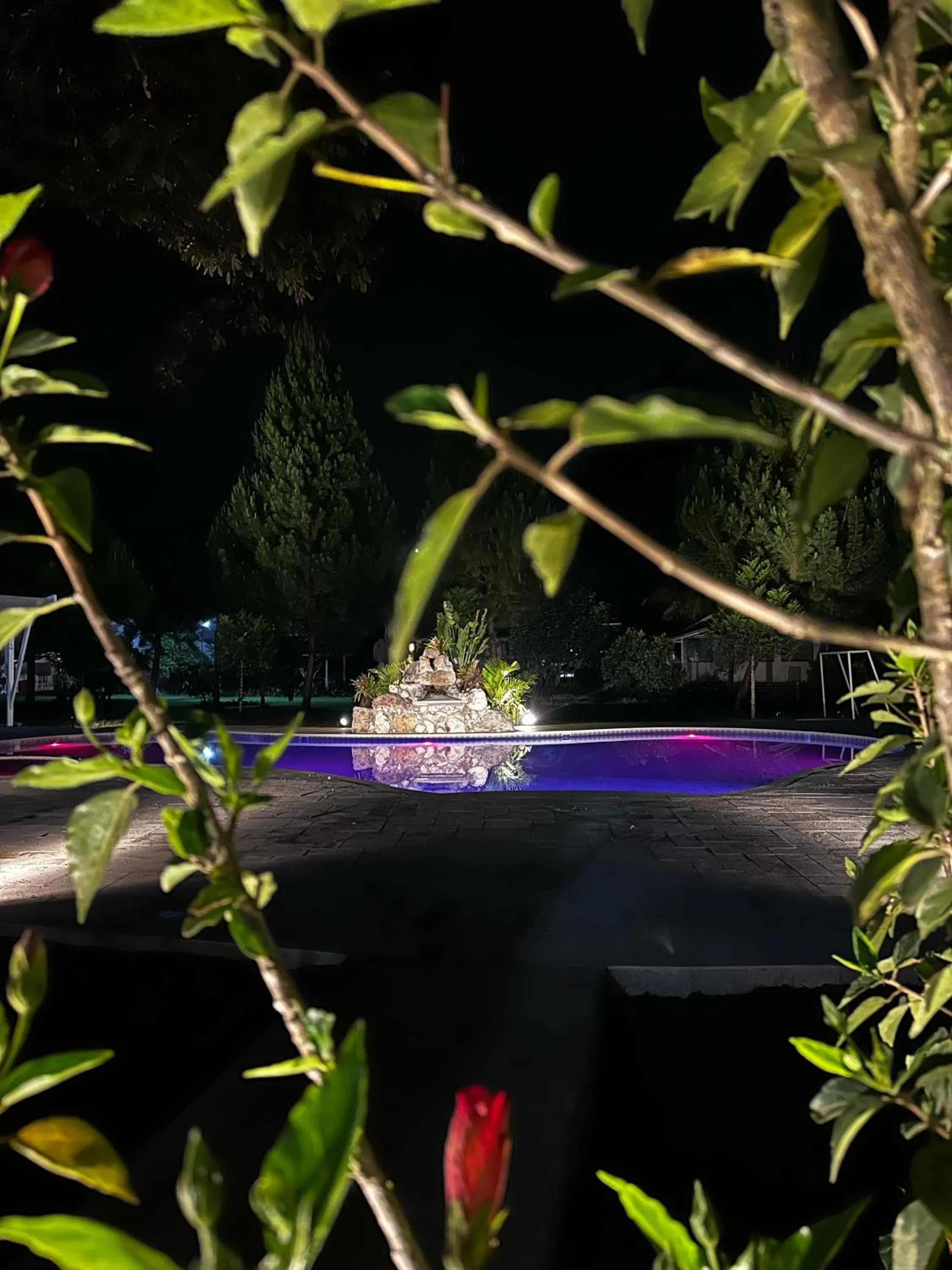 Swimming pool in Cemayu Lodge