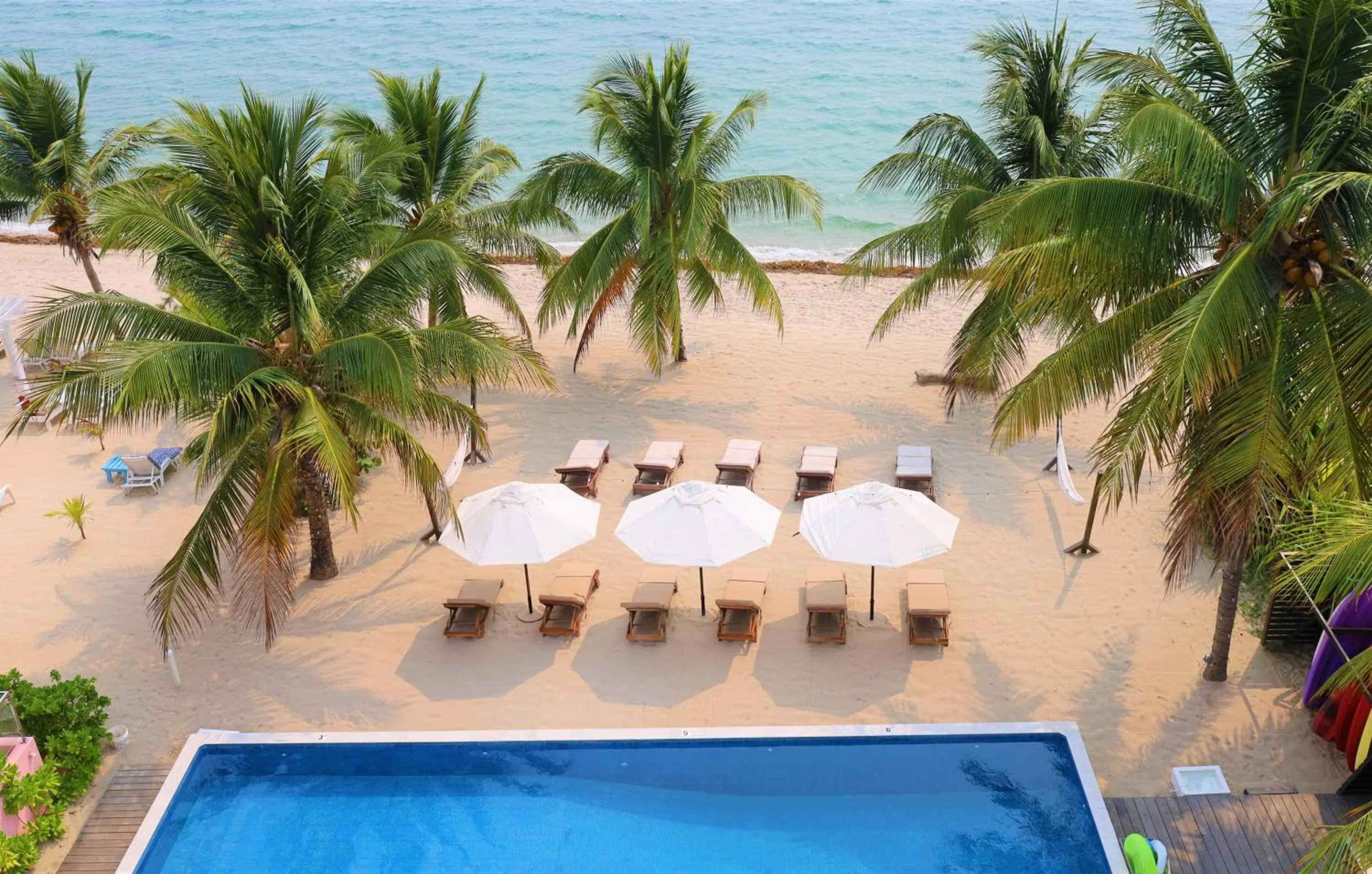 Natural landscape in The Ellysian Boutique Hotel