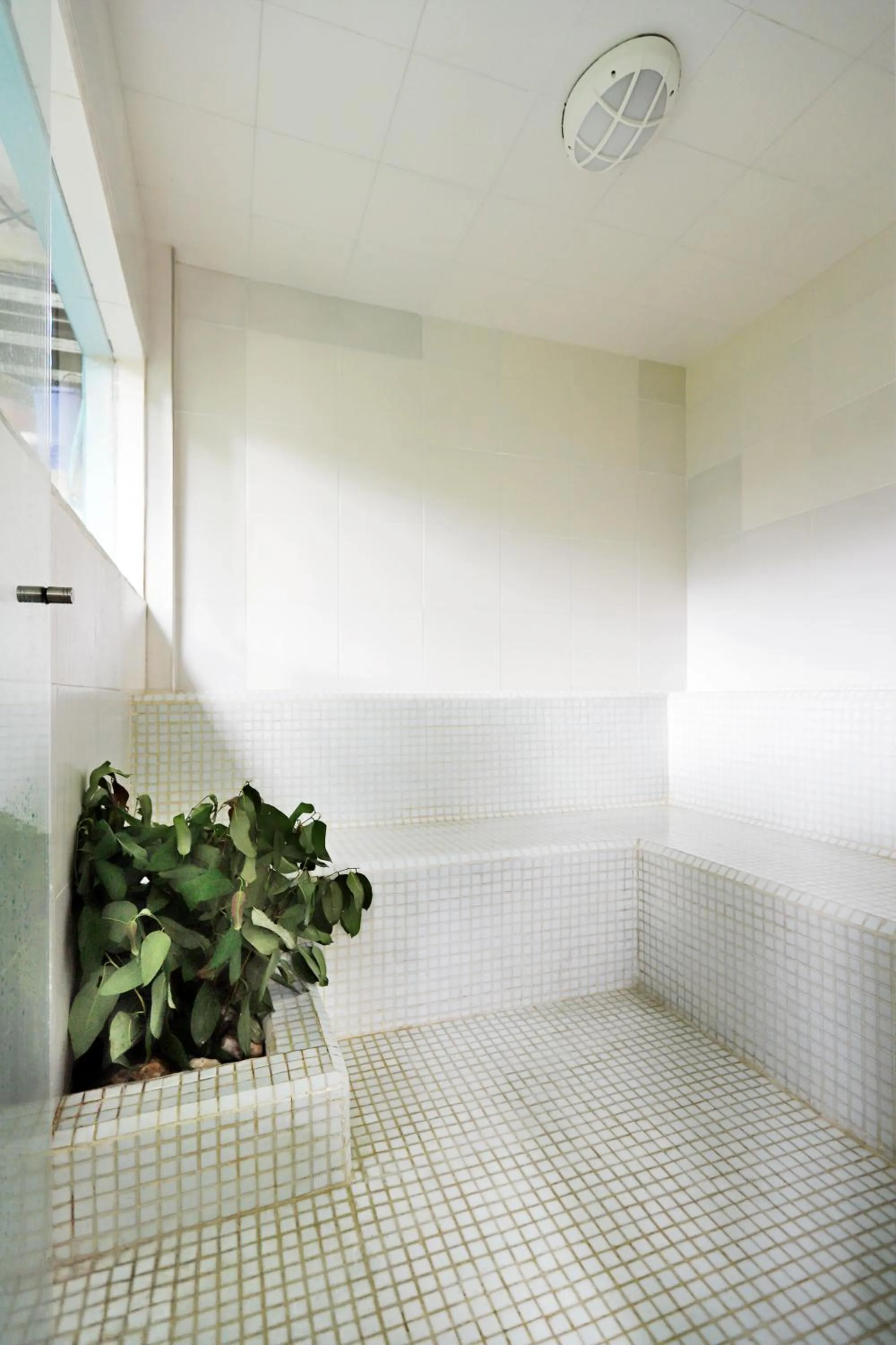 Steam room in Casa de las Dos Palmas