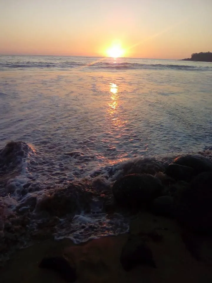 Beach in Hotel Quinta Mar y Selva