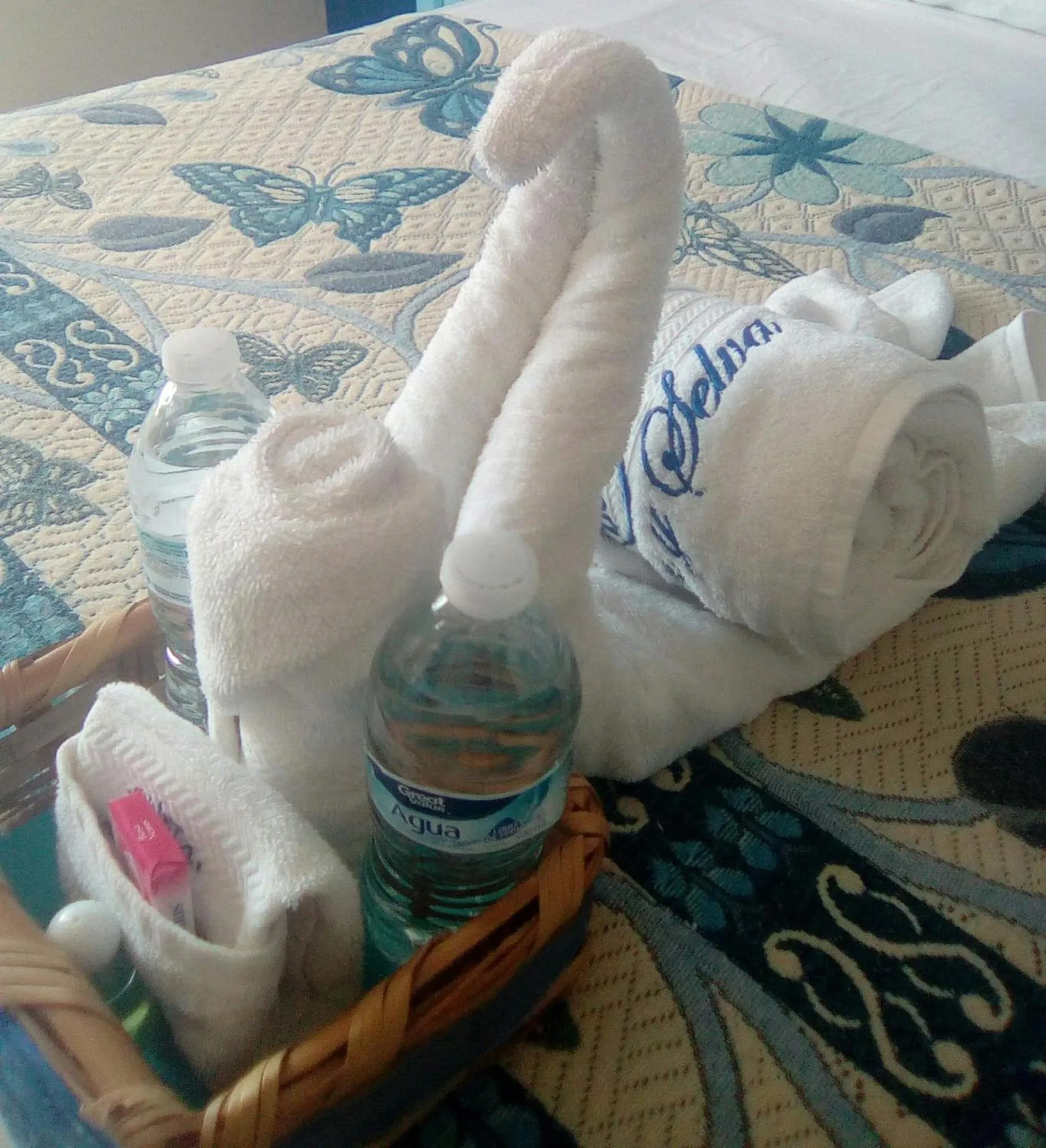 Hotel Quinta Mar y Selva