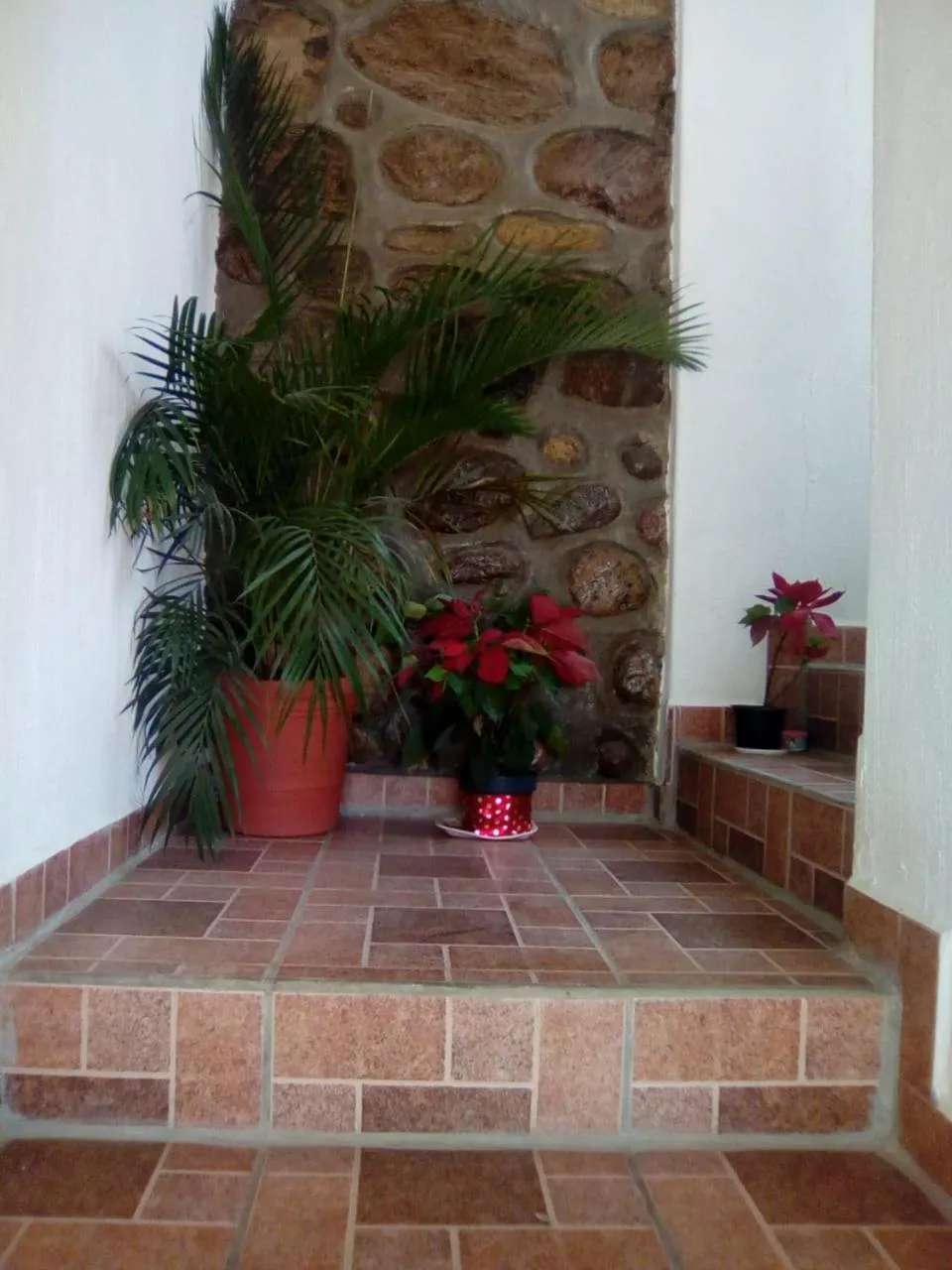 Lobby or reception in Hotel Quinta Mar y Selva