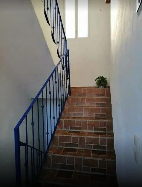 Decorative detail in Hotel Quinta Mar y Selva