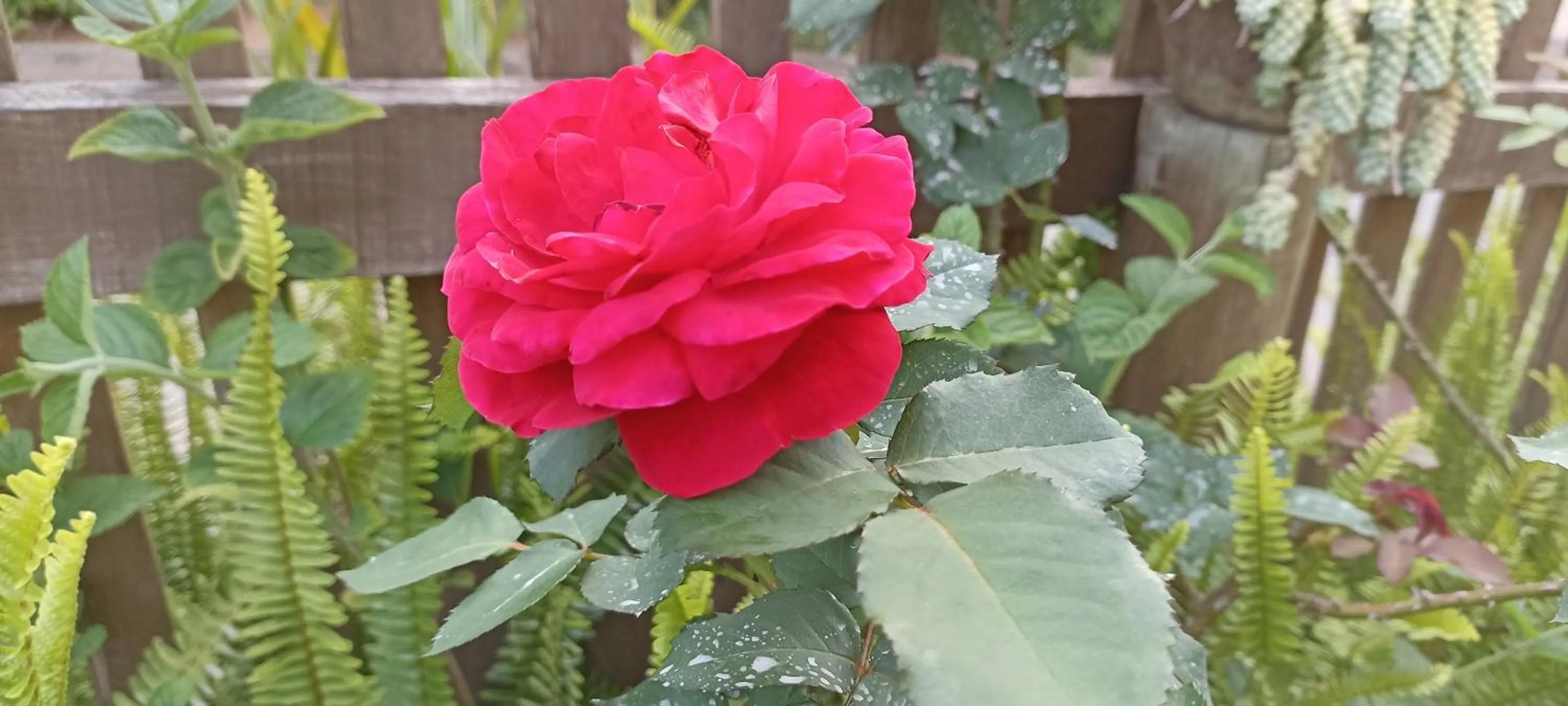 Spring in Pousada Alejandro