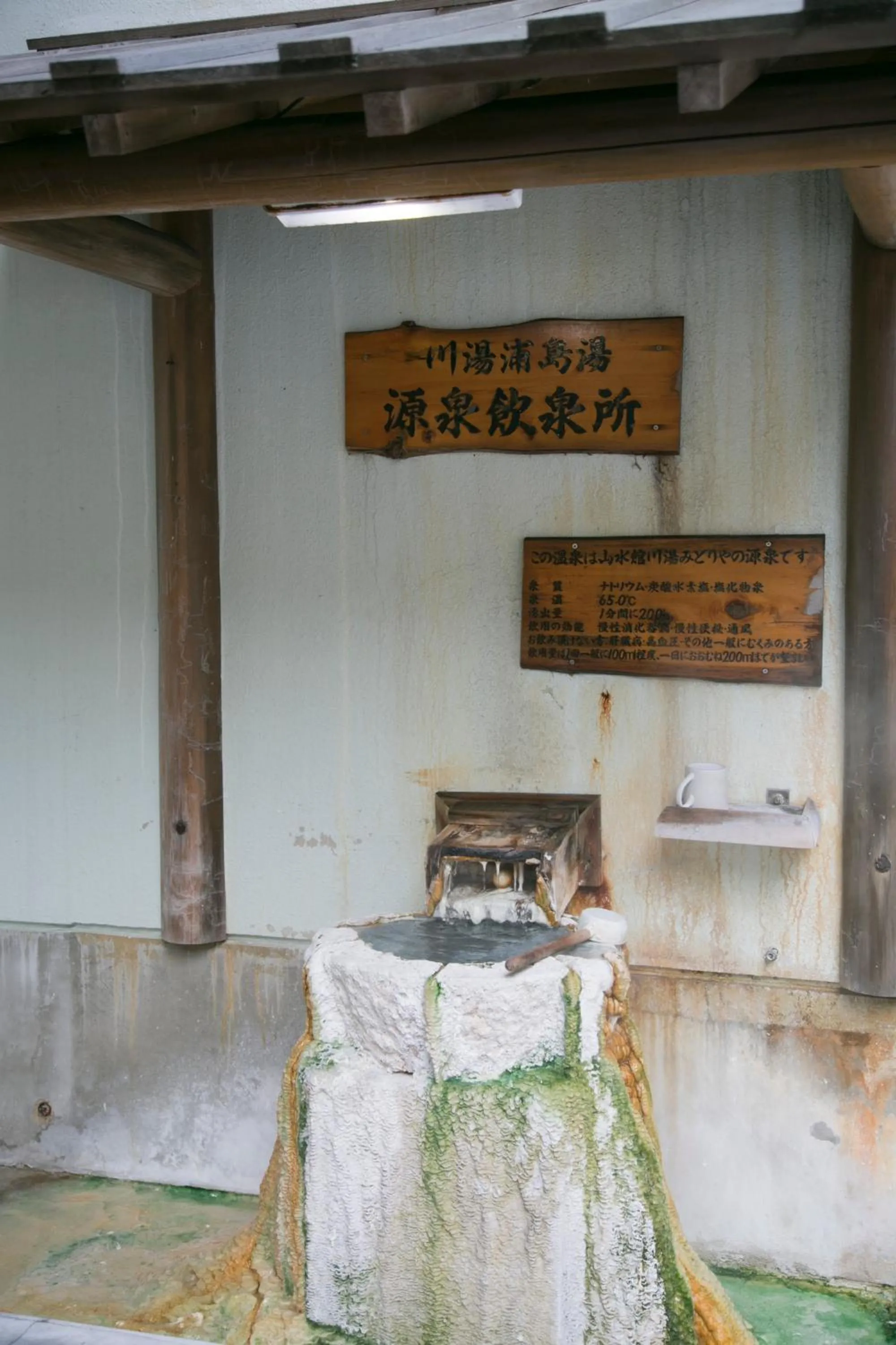 Hot Spring Bath in Sansuikan Kawayu Matsuya