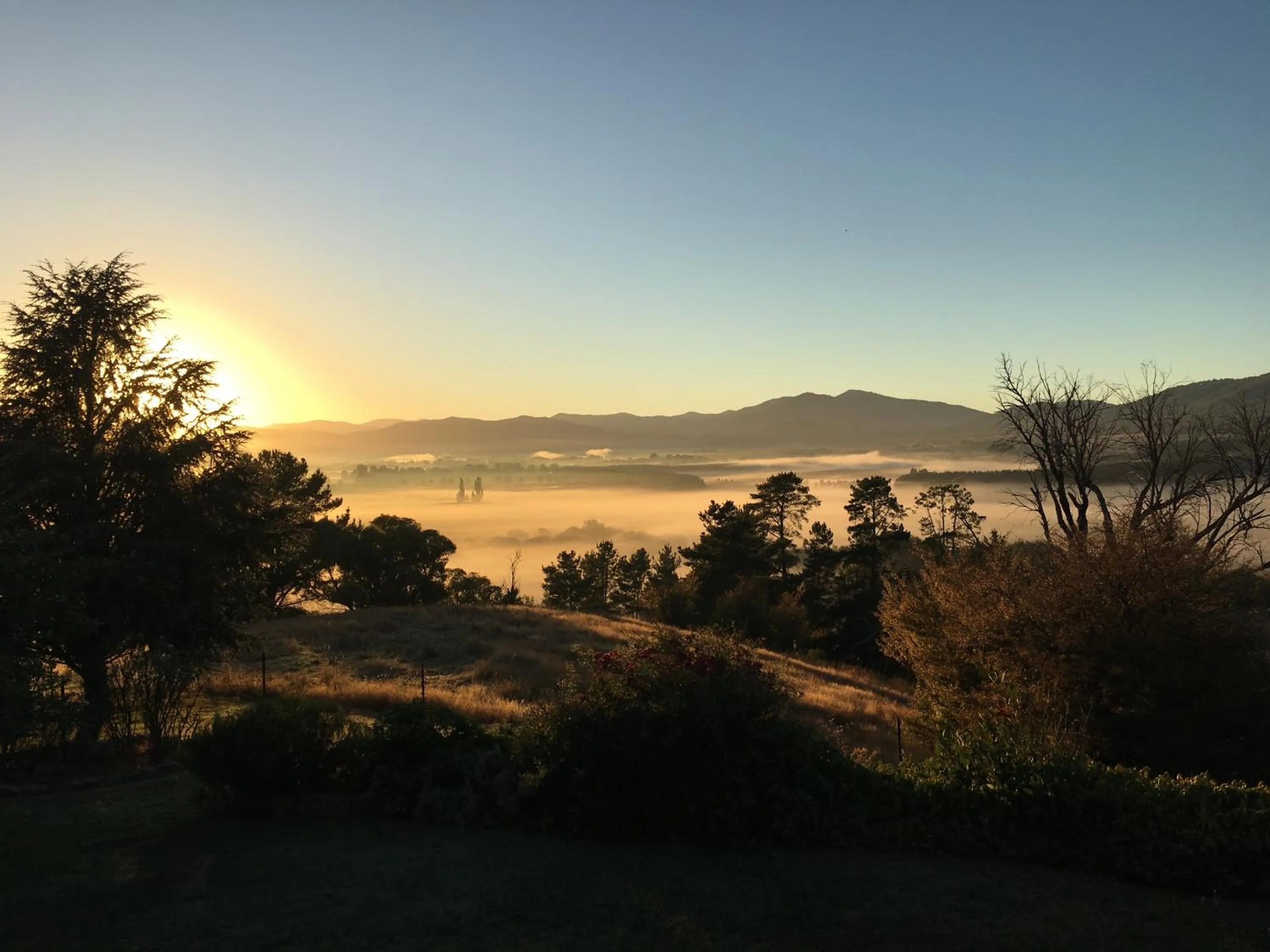 Spring in Rosewhite House