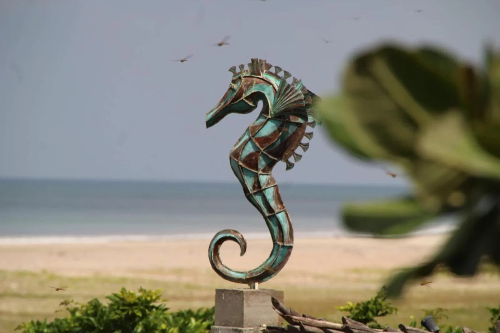 Property logo or sign in C Beyond Nilaveli