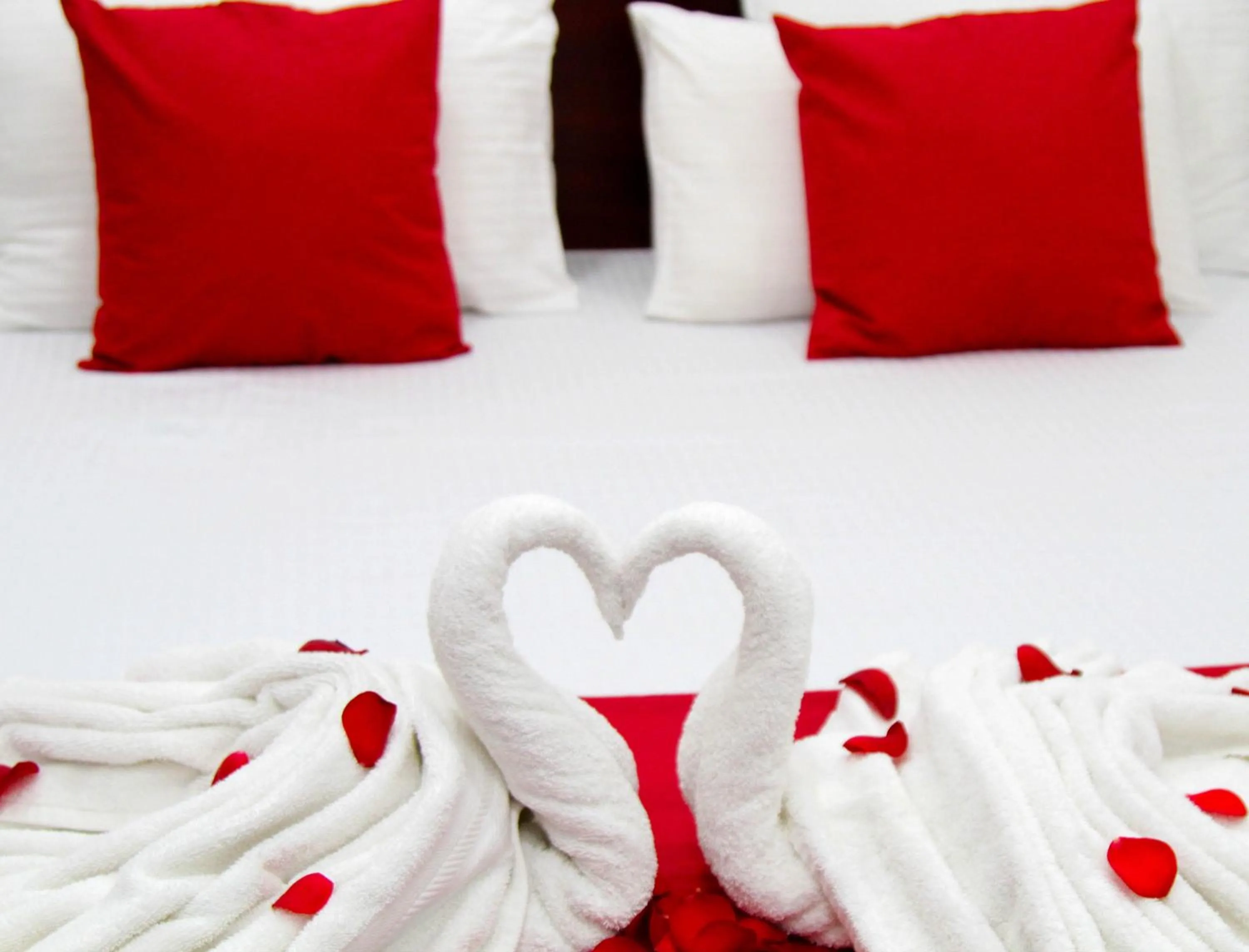 Bed in Colombo Residency