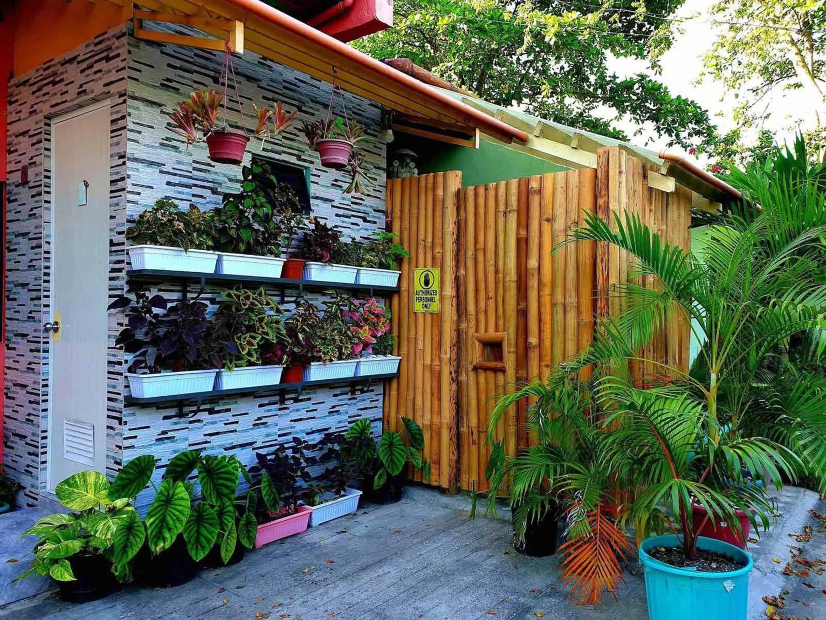 Property building in MJs Garden Hotel Moalboal powered by Cocotel