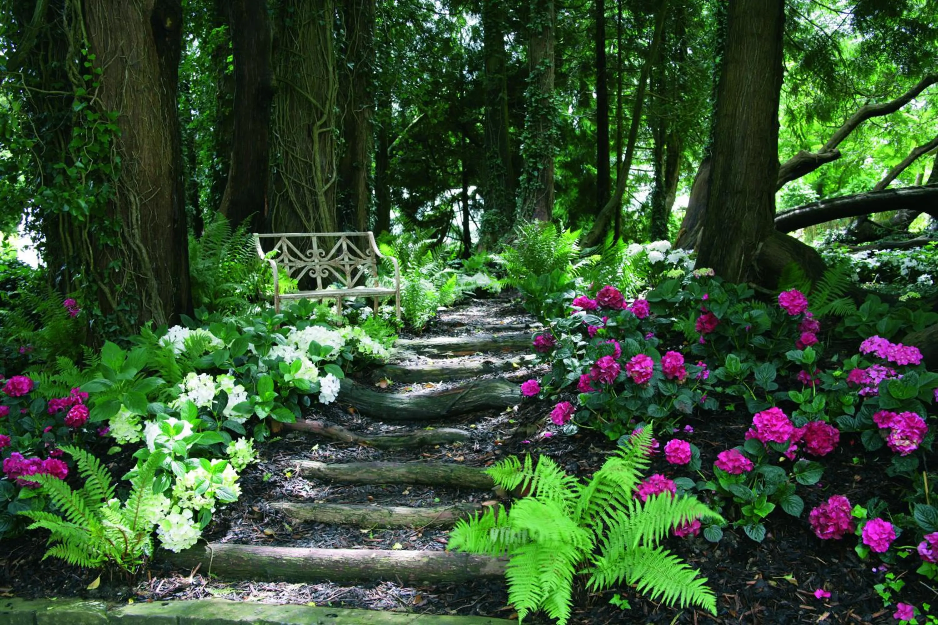 Garden in Summer Lodge Country House Hotel