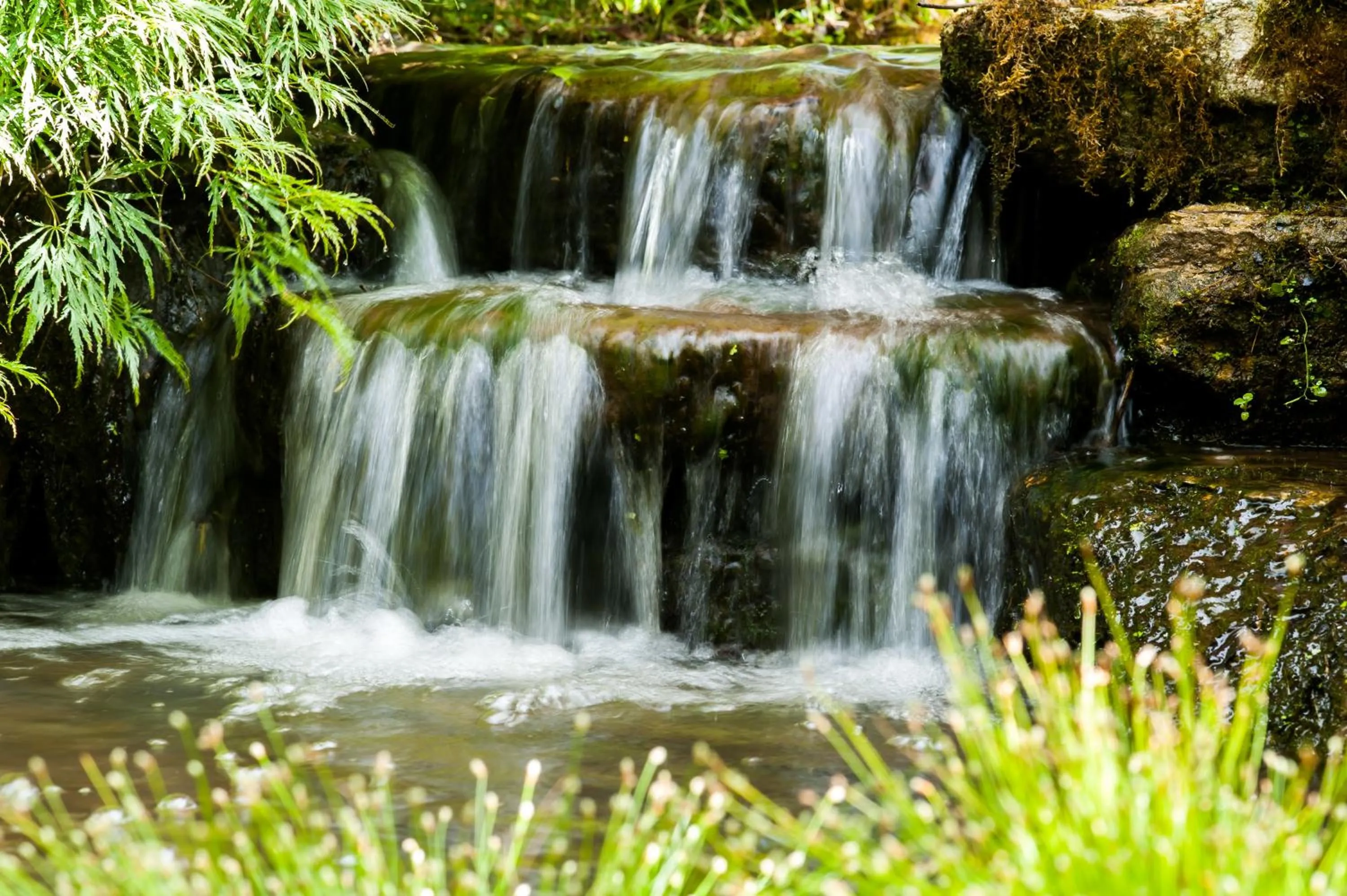 Garden in Summer Lodge Country House Hotel