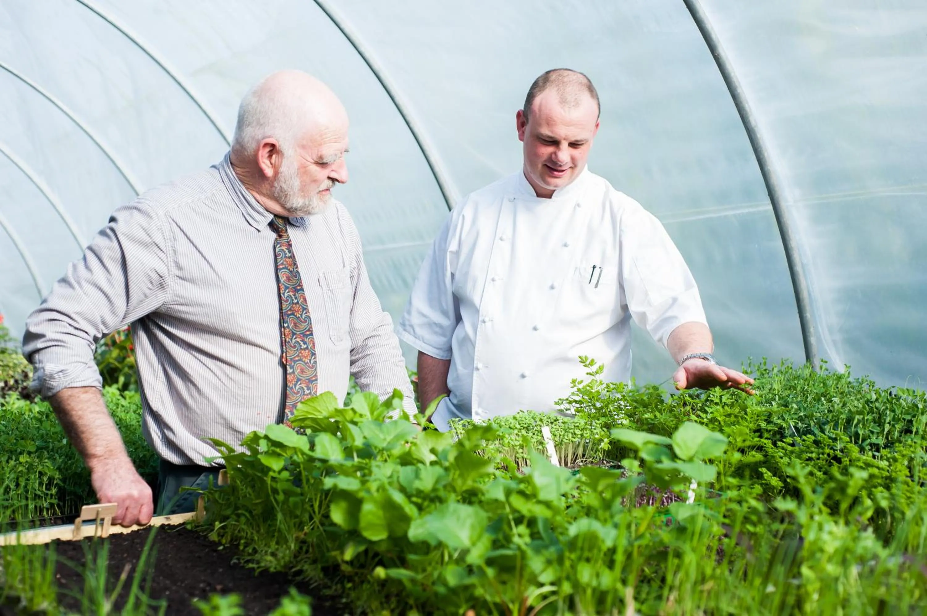 Food and drinks in Summer Lodge Country House Hotel